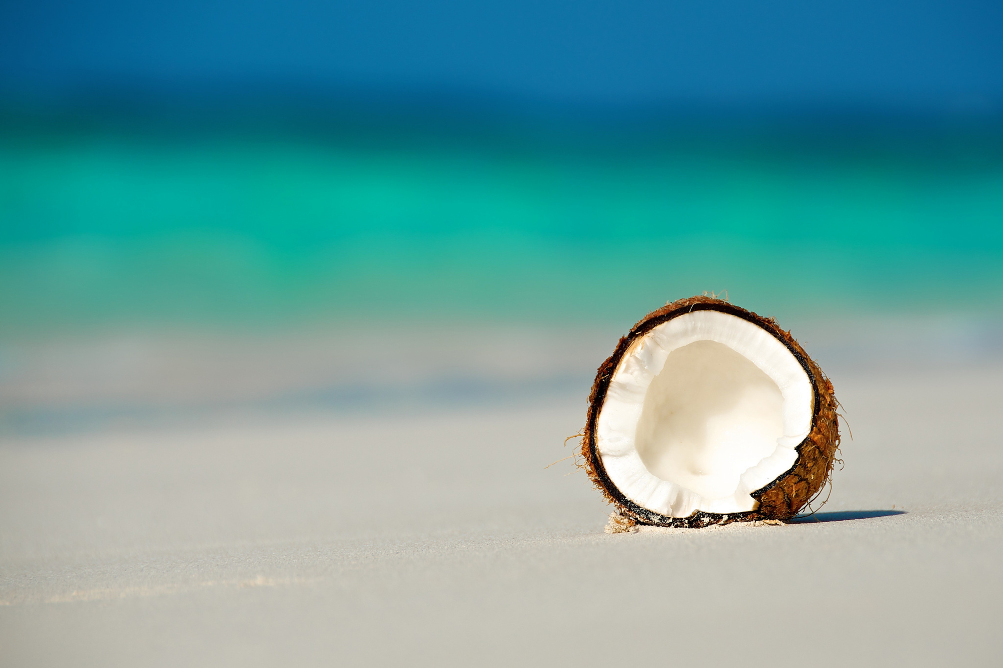 Beach, Coconuts Wallpaper, 2050x1370 HD Desktop