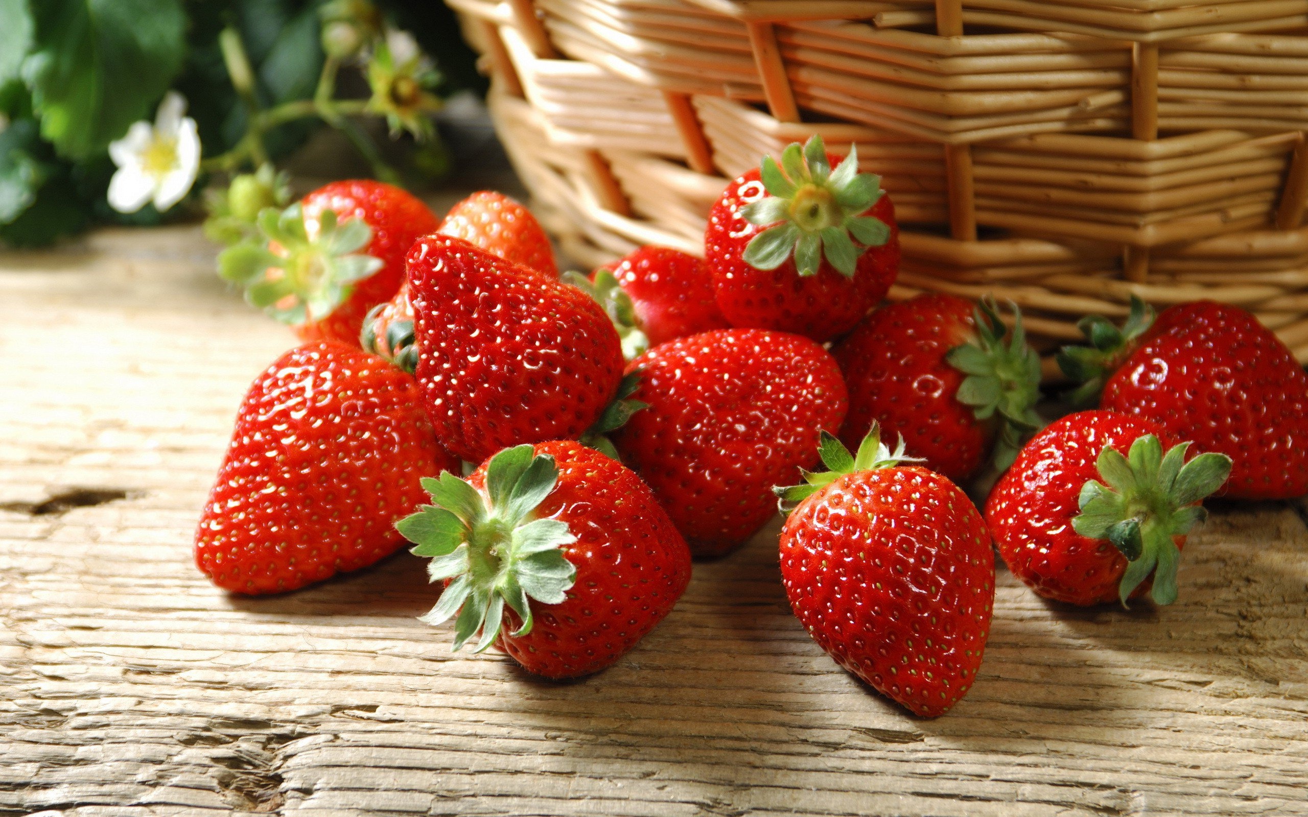 Strawberry, Wallpaper, 2560x1600 HD Desktop