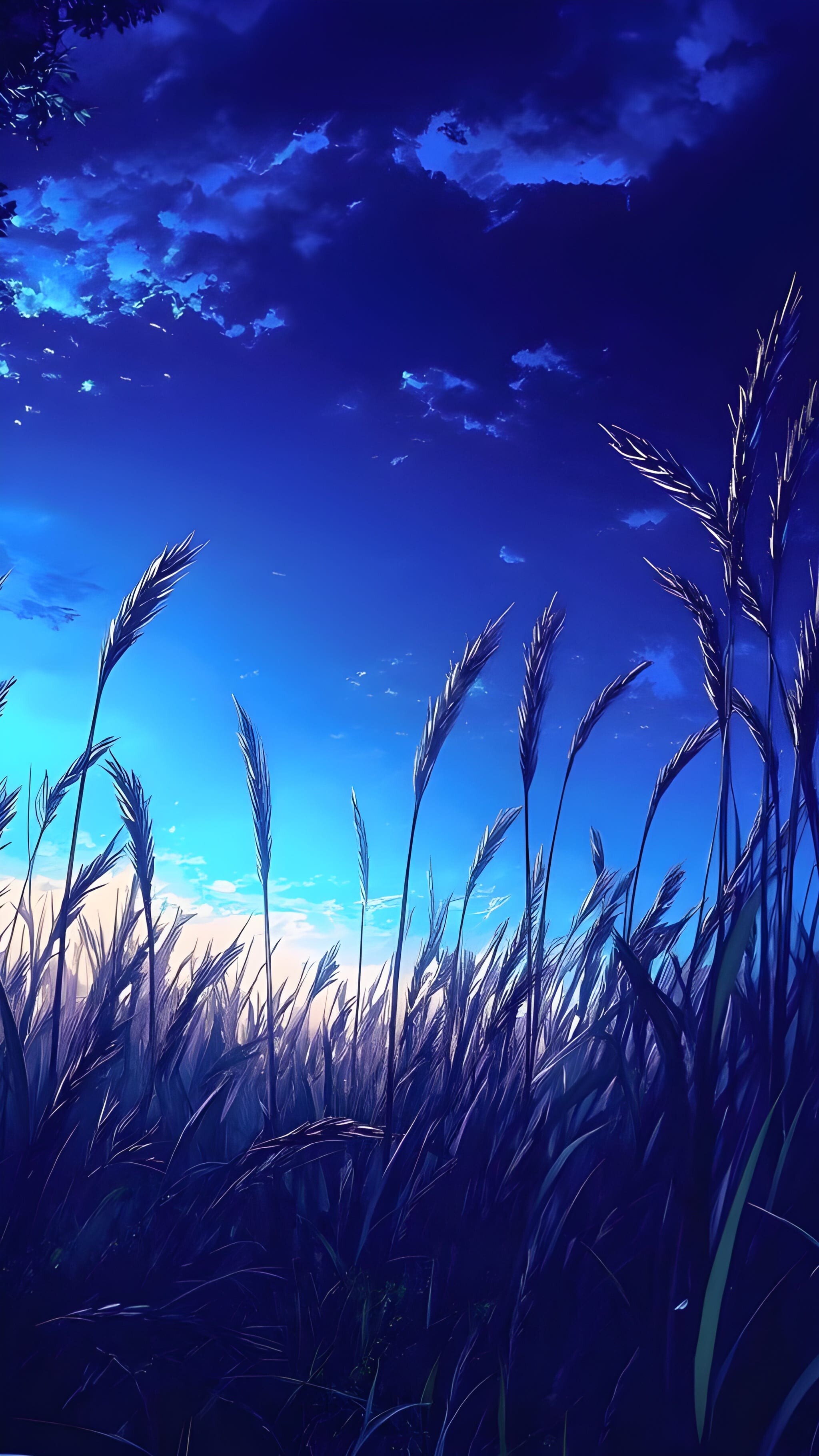 2050x3640 Phone Wallpaper