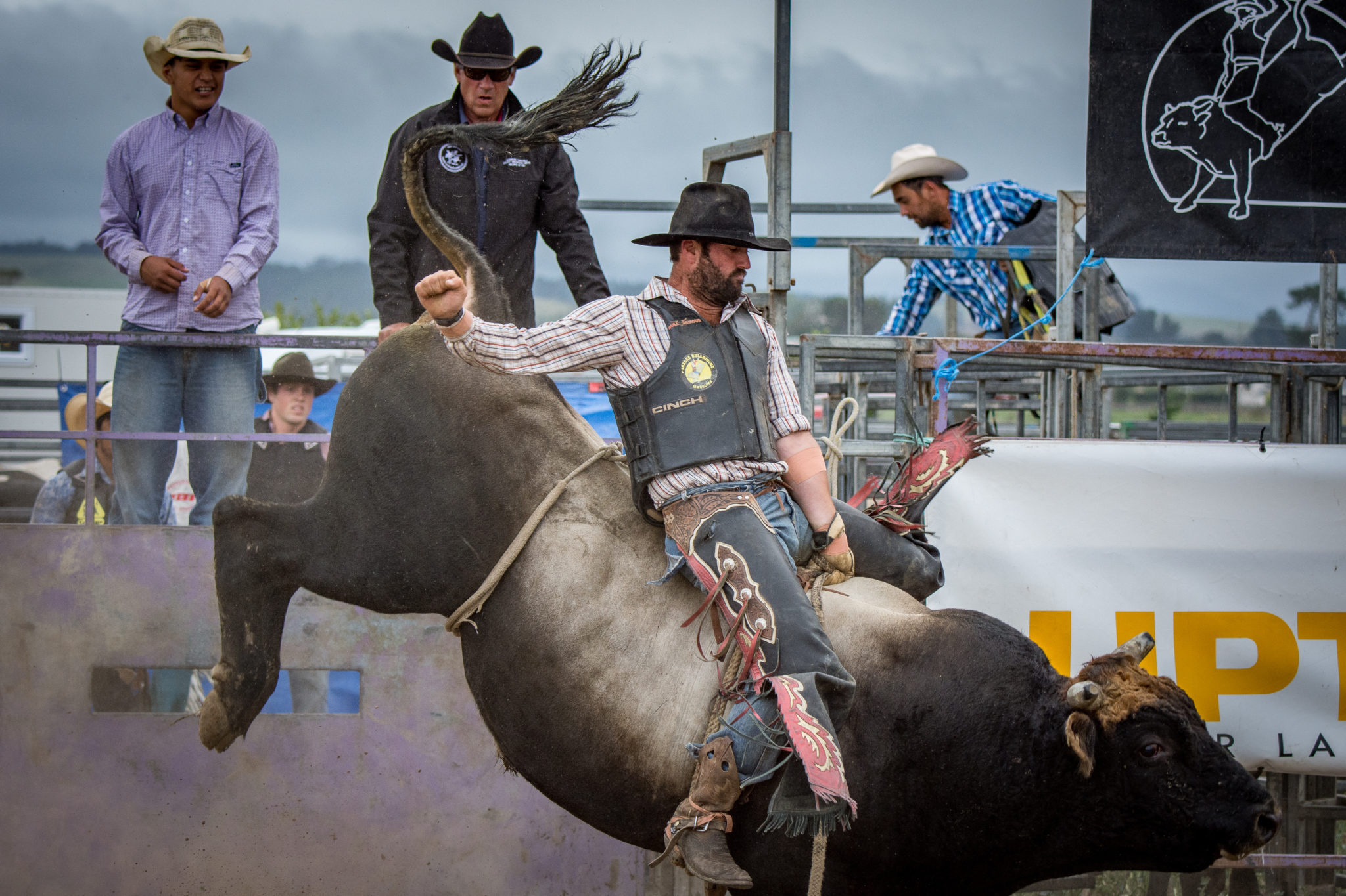 Return of bullriding, Exciting times ahead, Sport's resilience, New era begins, 2050x1370 HD Desktop