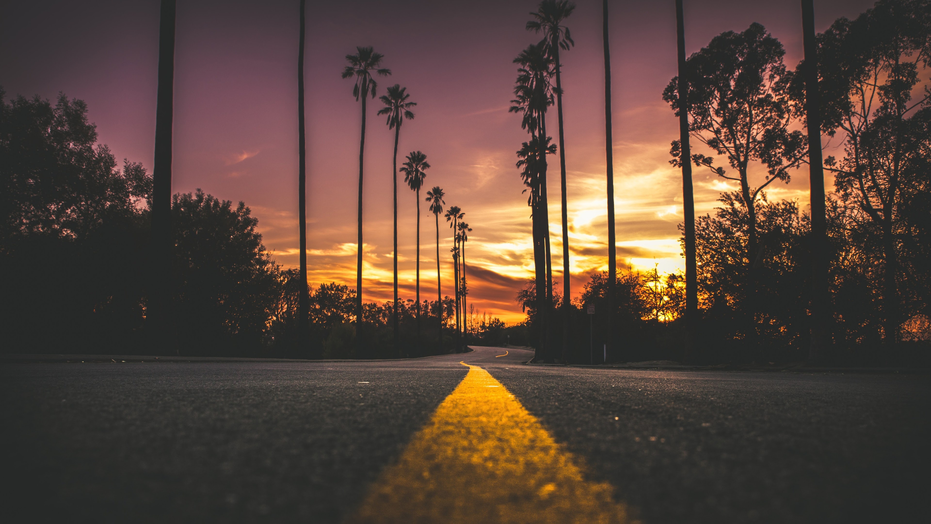 yellow road centerline, silhouetted palm trees, purple sunset sky, 4K Desktop wallpaper