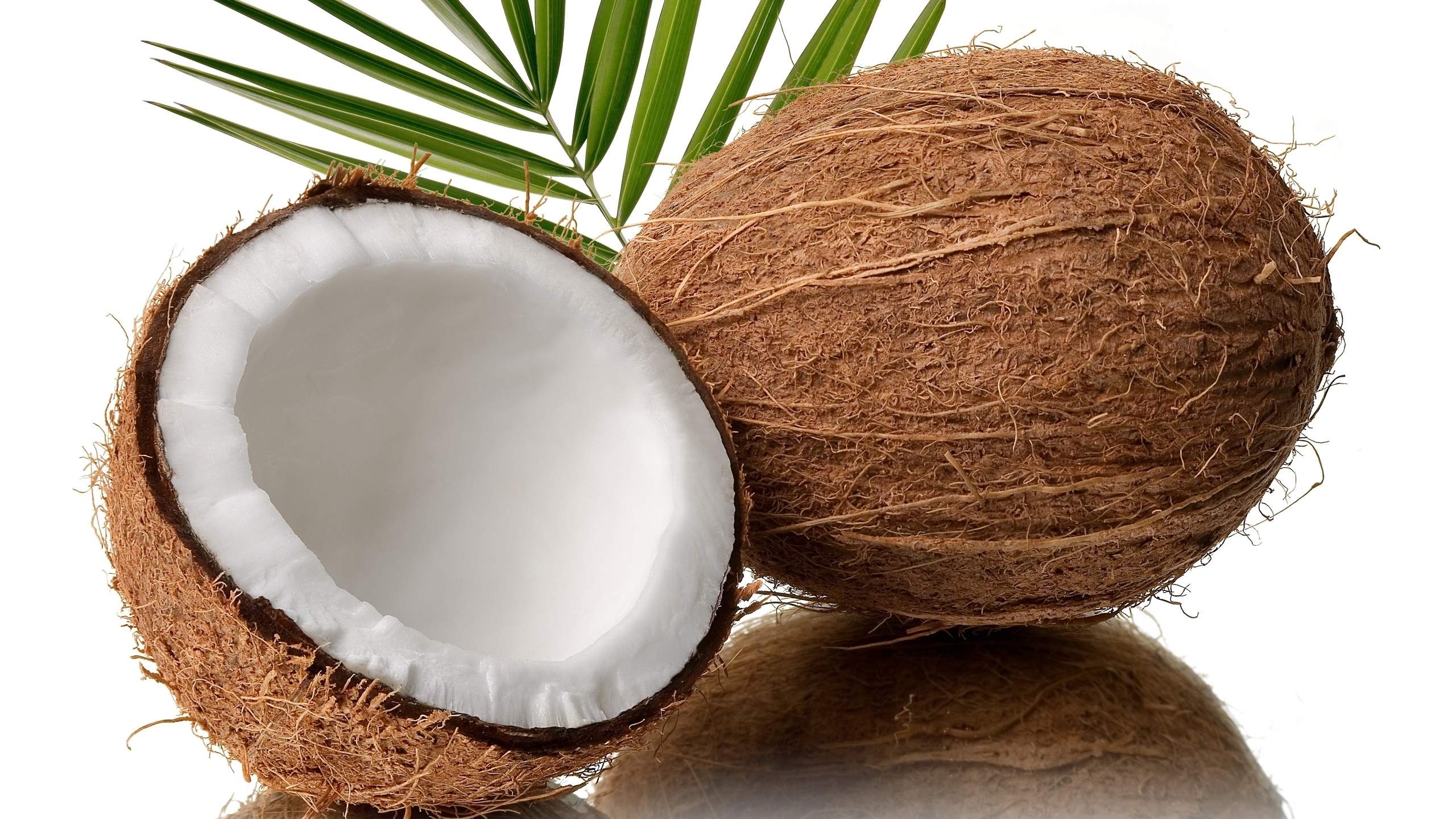 Coconut fruit, Al Massa tobacco, Tropical flavor, Exotic ingredient, 2560x1440 HD Desktop