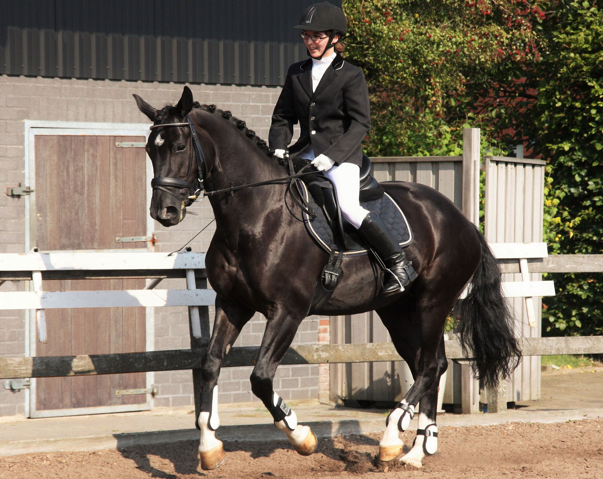 Dressage wallpaper inspiration, Dressage-themed background, Dressage beauty, Equestrian art, 2100x1670 HD Desktop