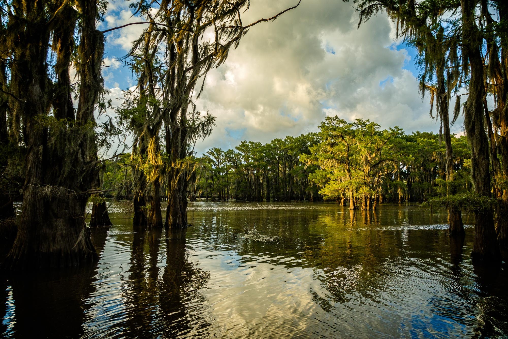 Caddo Lake, Nature photographers, Beautiful scenery, Serene environment, 2000x1340 HD Desktop
