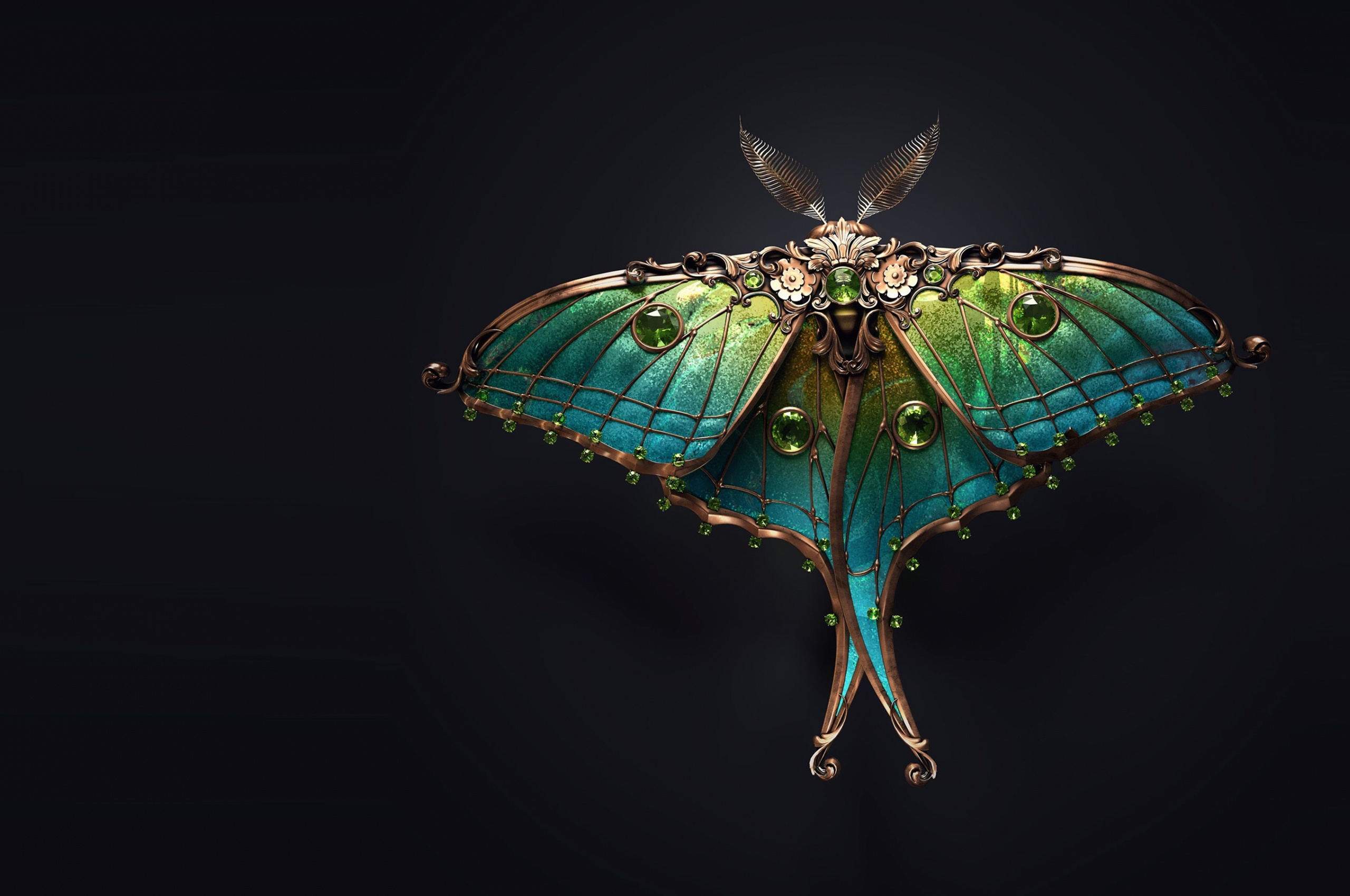 Moth, Brooch Wallpaper, 2560x1700 HD Desktop