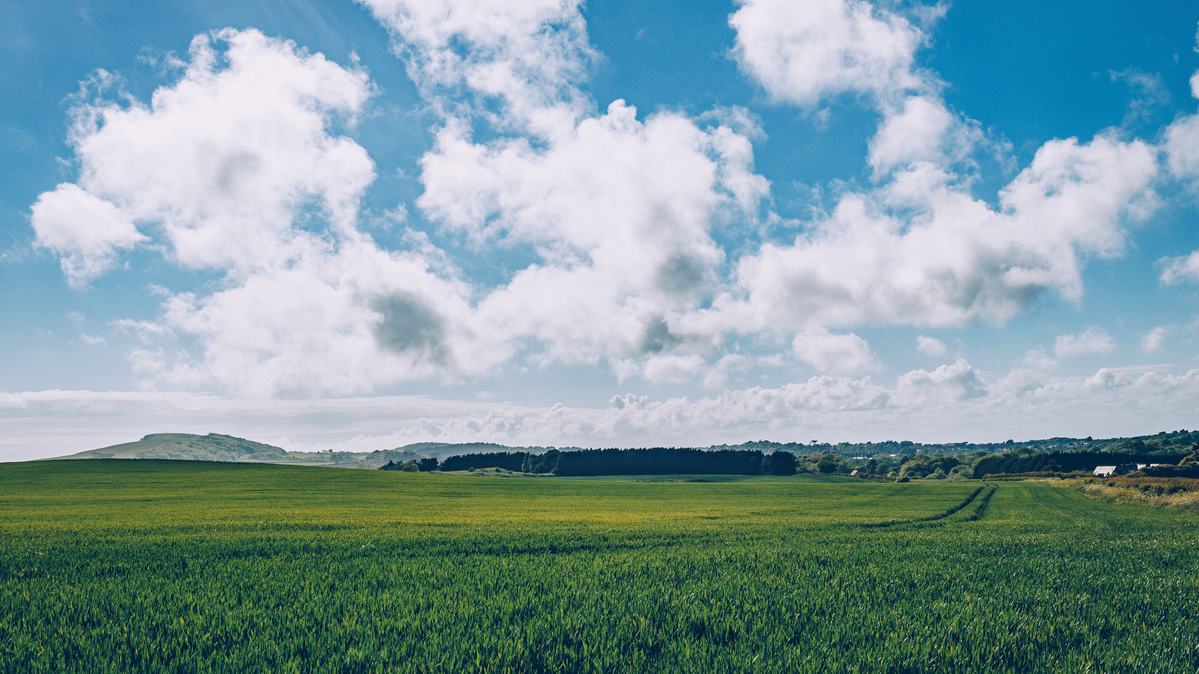 Download grass clouds field wallpapers, UHD TV, Sky backdrop, Serene scenery, 3840x2160 4K Desktop