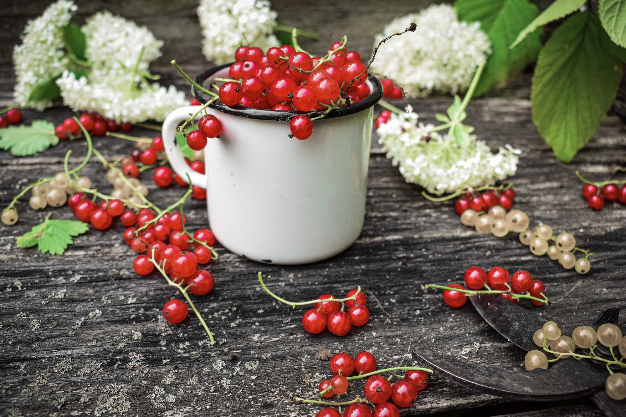 Currants, HD wallpaper, Background image, 2000x1340 HD Desktop