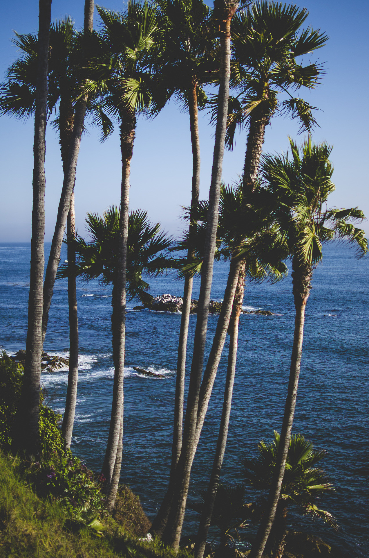 Laguna Beach, Wallpaper posted by Sarah, Tranquil coastal vibes, 1280x1920 HD Phone