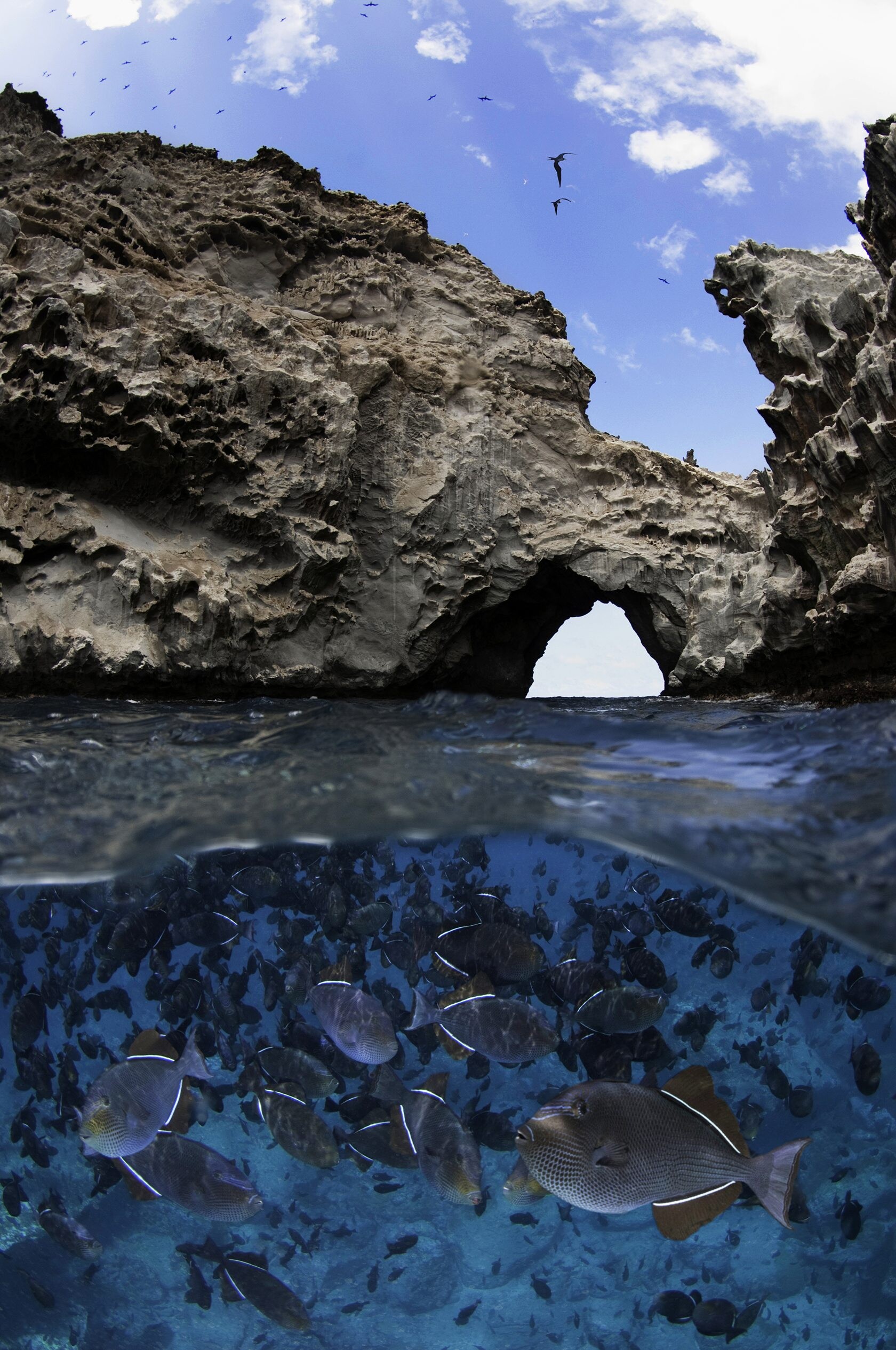 Ascension Island, Travels, Volcanic landscapes, Island getaway, 1680x2530 HD Phone