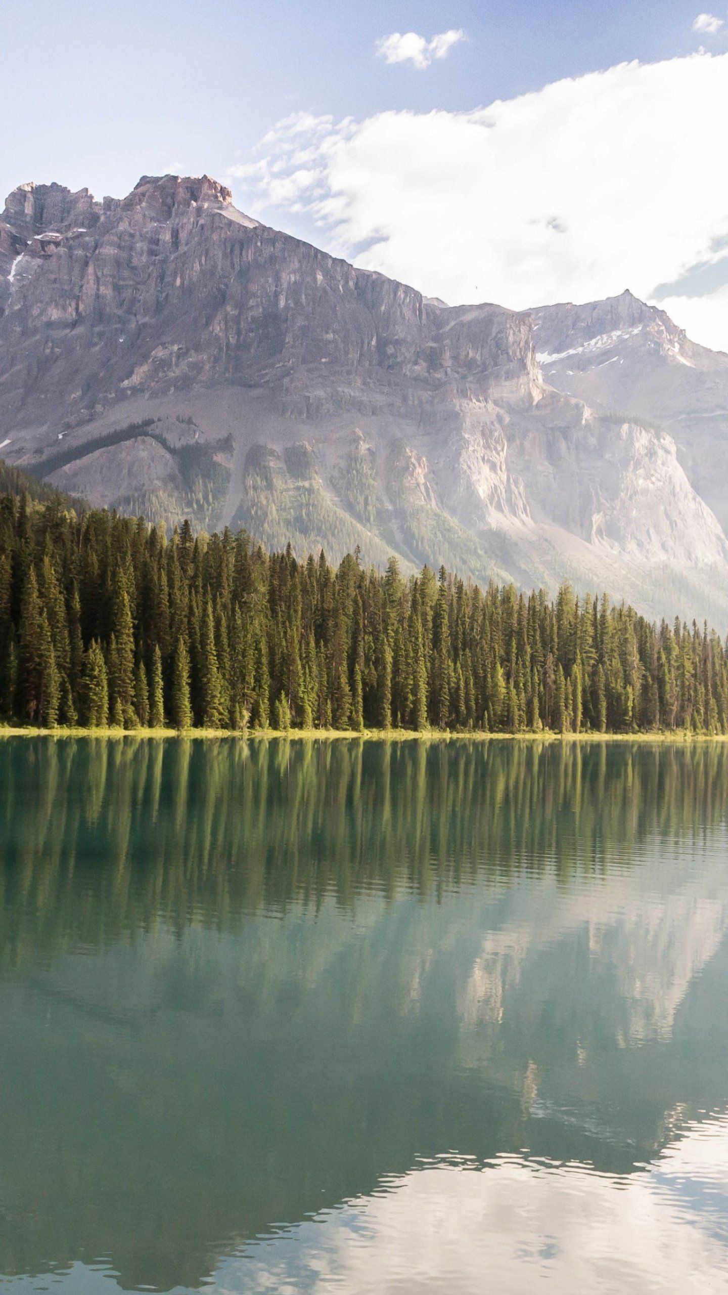 Mountain Lake, Nature, Reflection, Landscape, Trees, 1440x2560 HD Phone