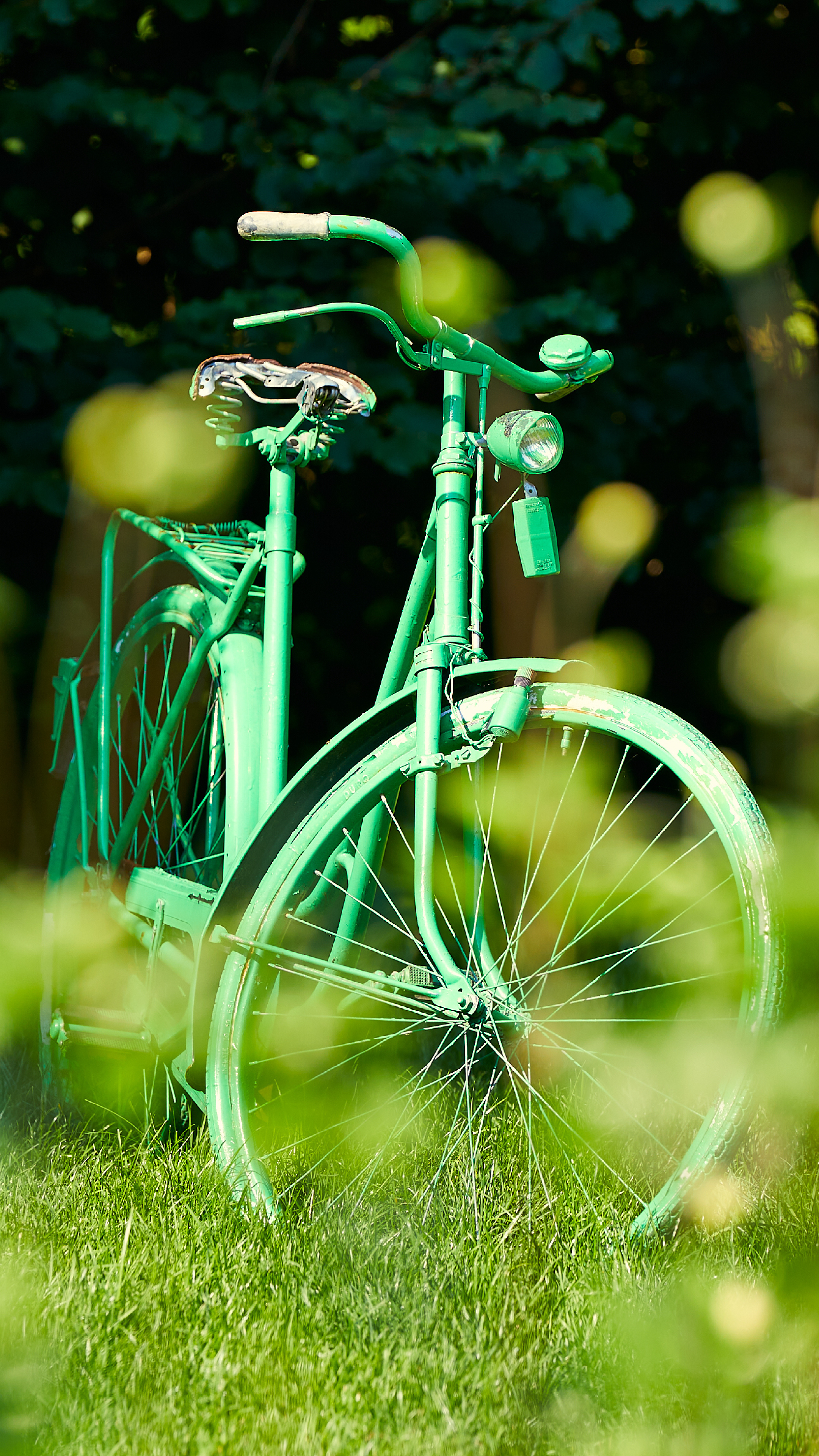 Mnsterland, Scenic routes, Countryside charm, Cycling destination, 2160x3840 4K Phone