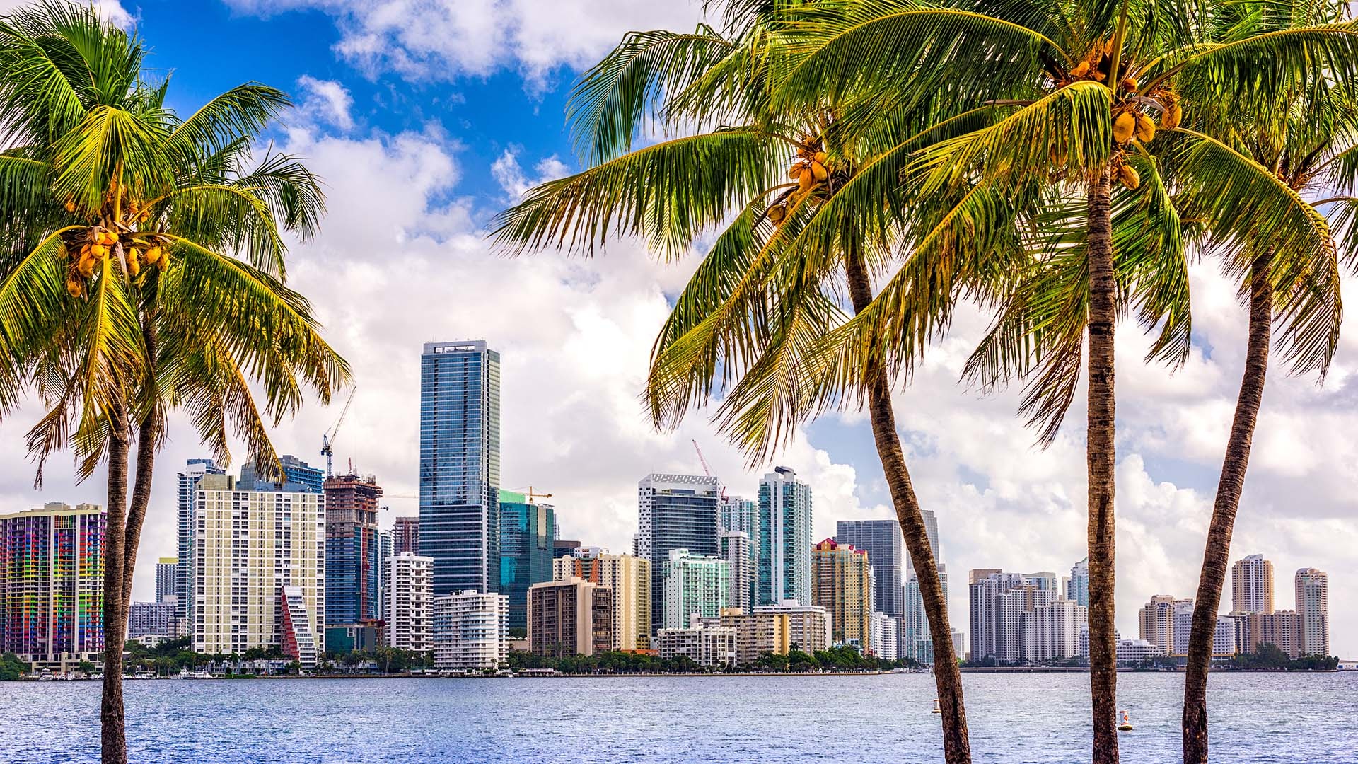 Miami Skyline, Travels, Residence apartment, Vondom, 1920x1080 Full HD Desktop