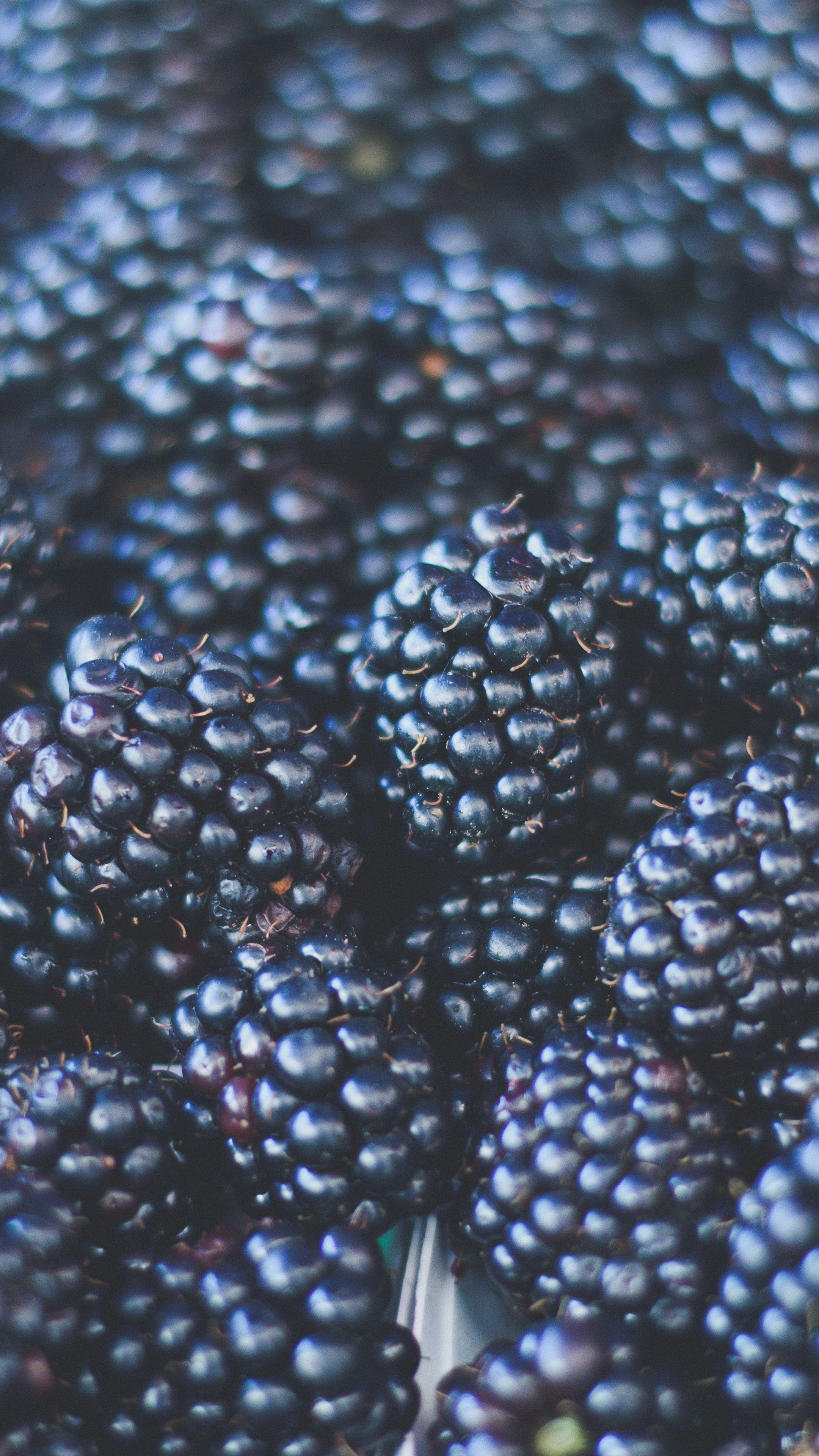 Blackberries, Stunning wallpapers, 2160x3840 4K Phone