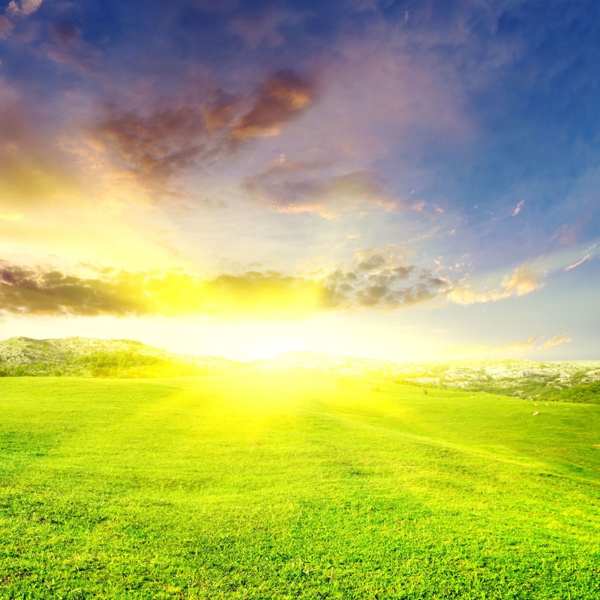 lush green grassy field, bright glowing sunburst, rocky rolling hills, HD Phone wallpaper
