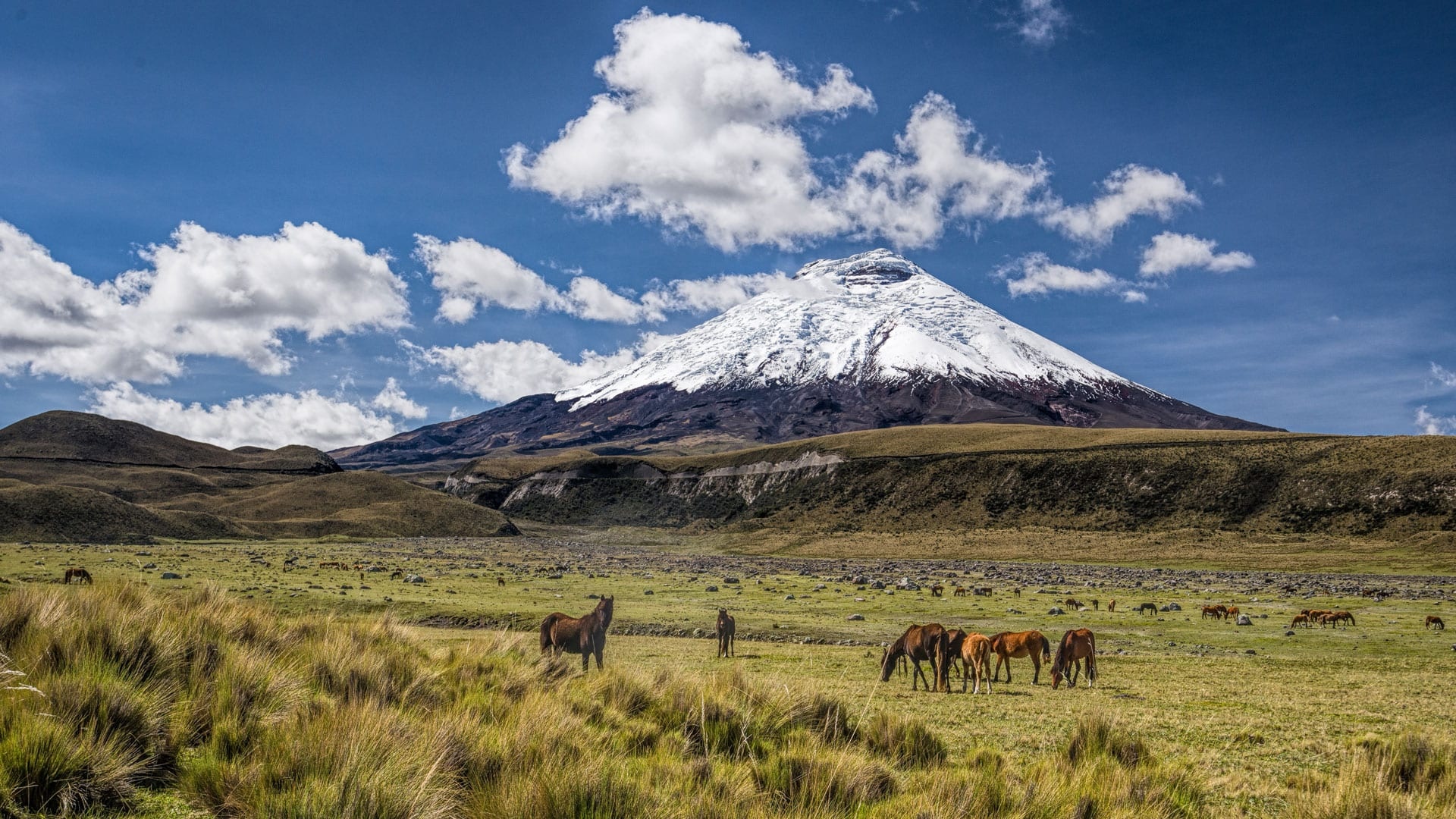Cotopaxi, Travels, National park, Volcanoes, 1920x1080 Full HD Desktop