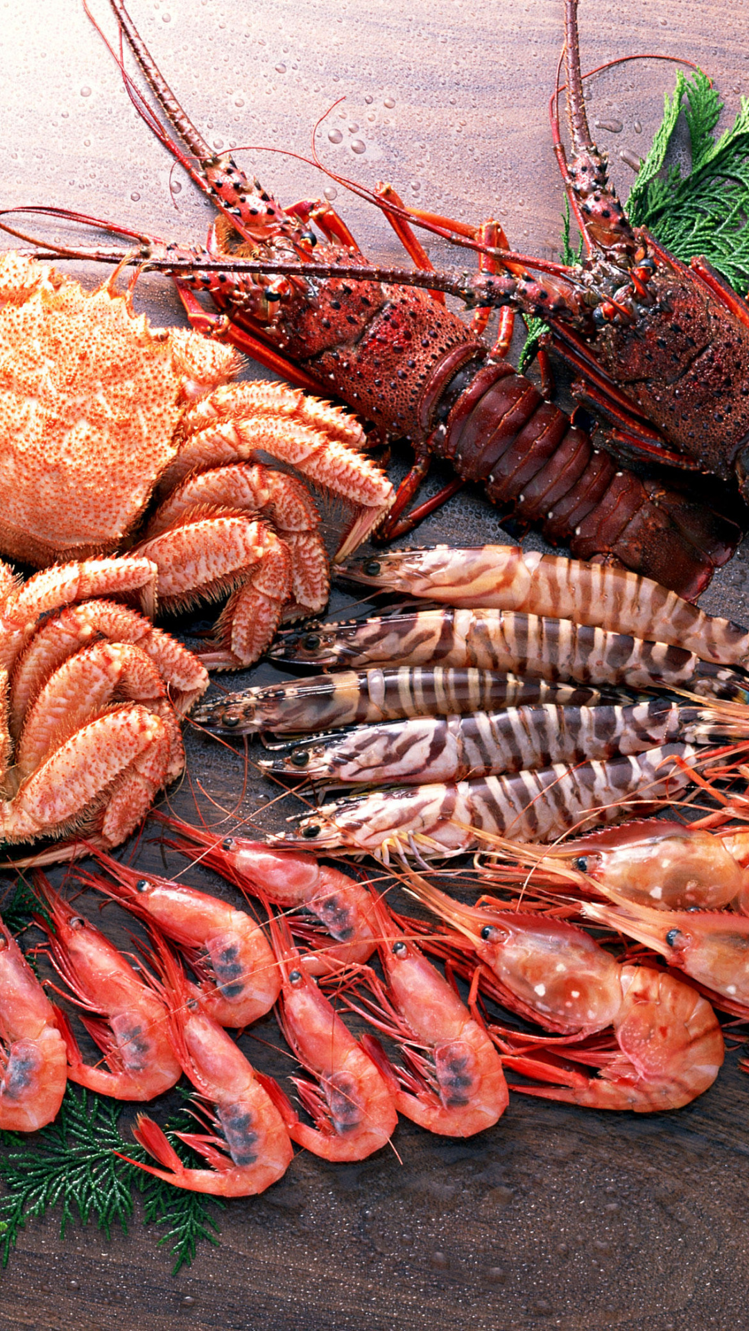 Seafood wallpapers, Seafood delicacies, Seafood dish, Border grill, 1080x1920 Full HD Phone