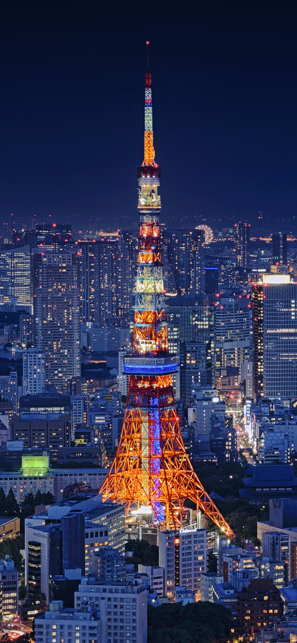 Tokyo morning, Sunrise city, Peaceful streets, Early light, 1130x2440 HD Phone