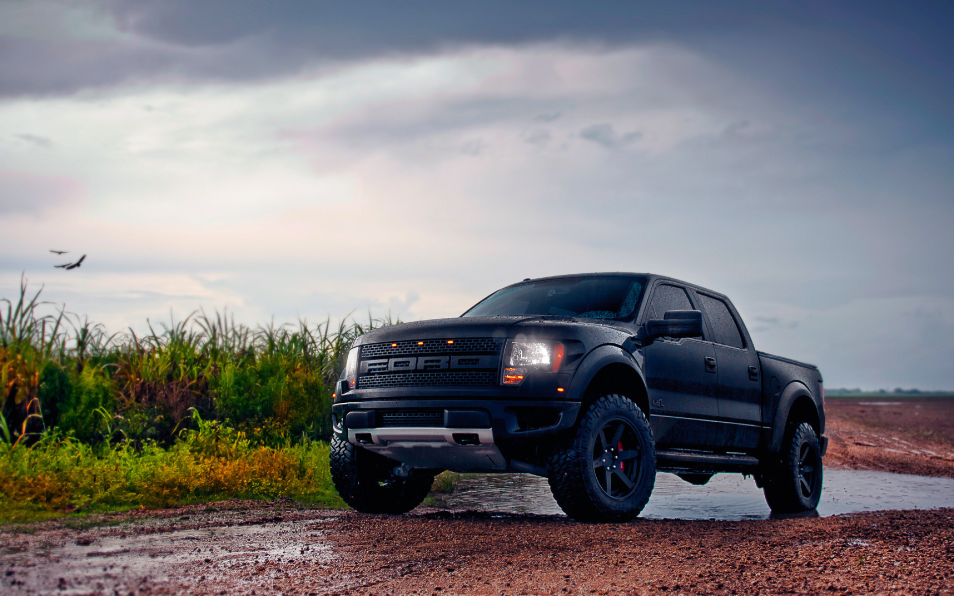 Ford F-150, Black beauty, Raptor edition, Aggressive styling, 1920x1200 HD Desktop