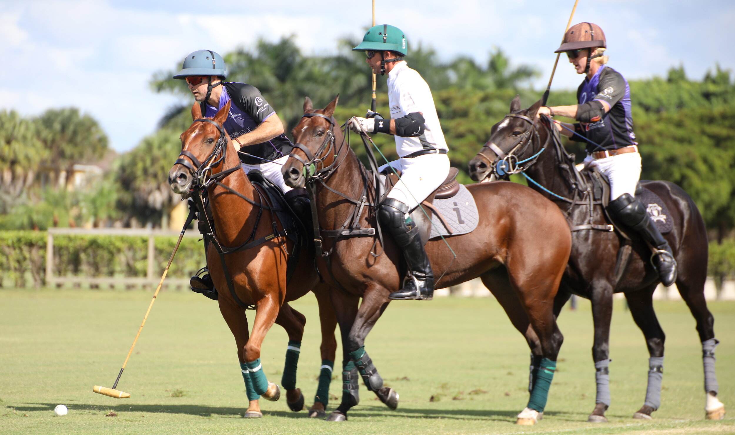 Seminole Casino Coconut Creek, Santa Rita Grand Champions Polo Club, Fall Classic season opener, 2500x1480 HD Desktop