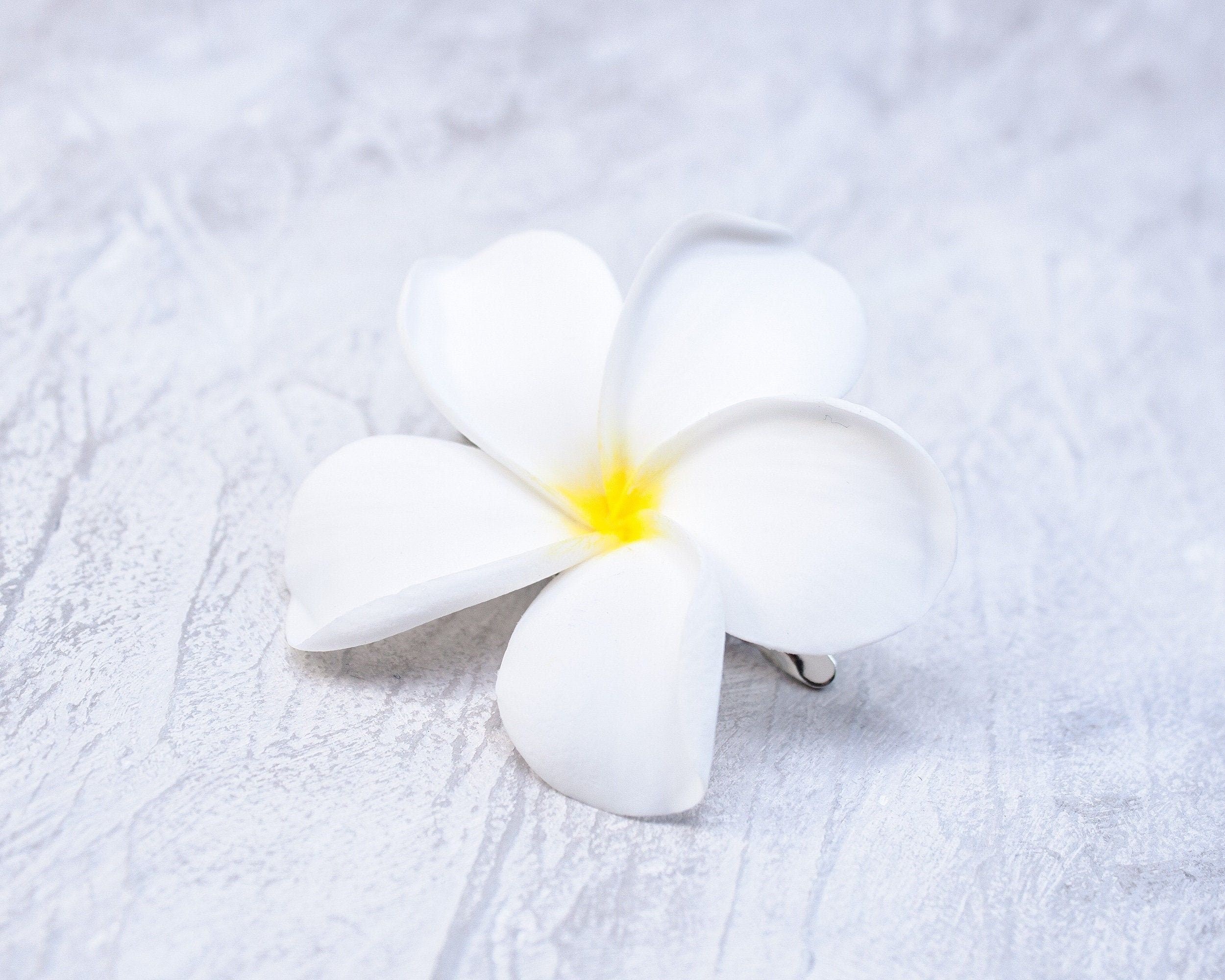 Hair clip plumeria, Hawaiian Flower Wallpaper, 2500x2000 HD Desktop