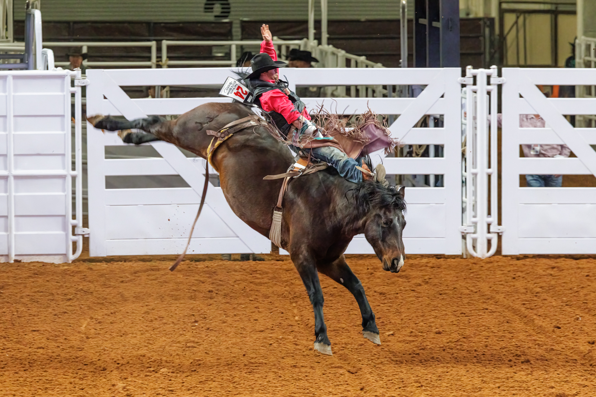 Fort Worth Stock Show, Rodeo, Final days, Fort Worth Business Press, 1920x1290 HD Desktop