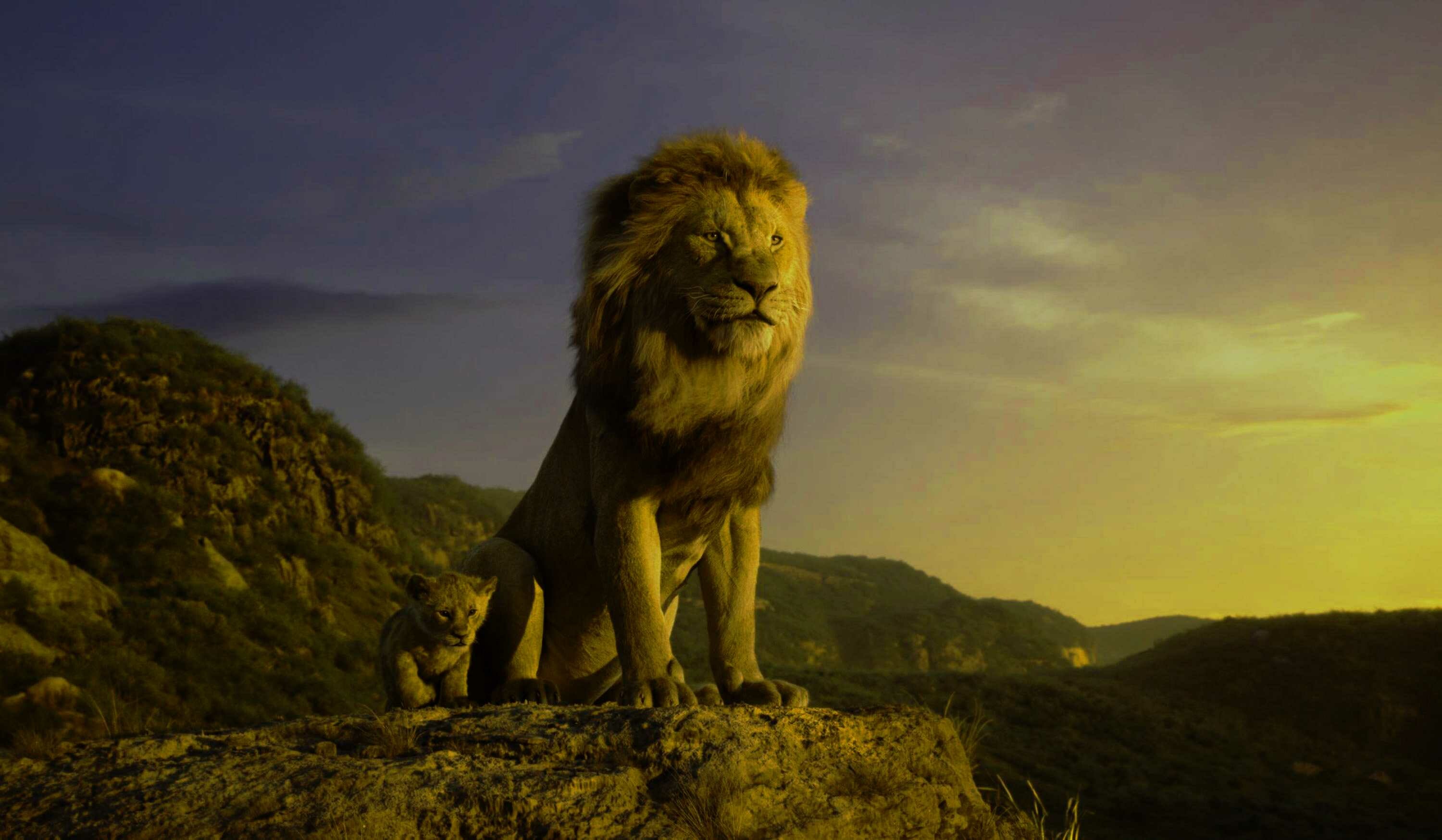 The Lion King, Desktop wallpaper, Spectacular scenes, Lion family, 3000x1750 HD Desktop