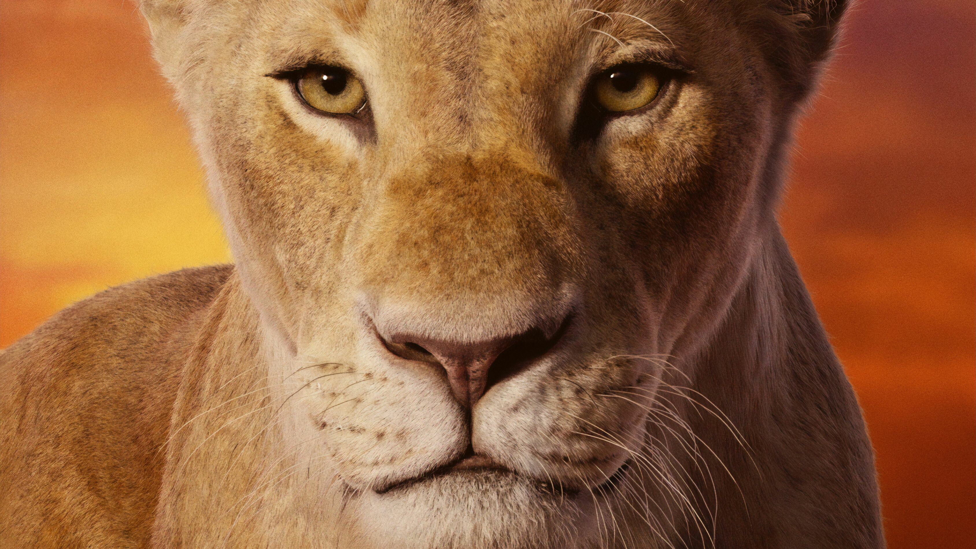 The Lion King, Simba and Nala, Lion King wallpapers, 3380x1900 HD Desktop