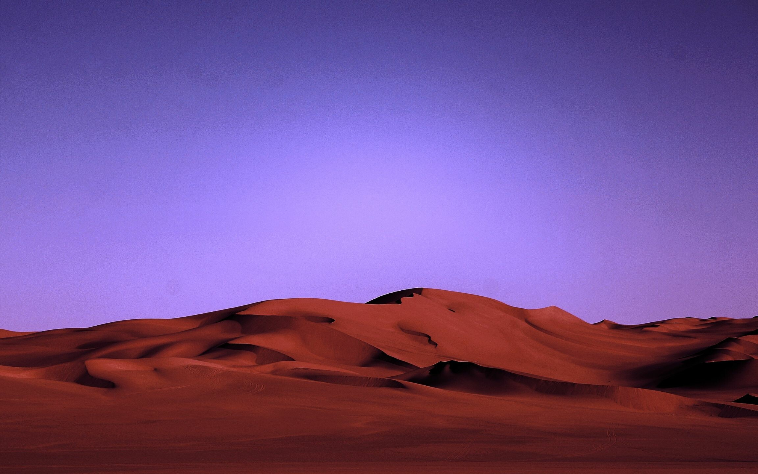 Night in the desert, Nature's mystery, Starry sky, Moonlit sands, 2560x1600 HD Desktop