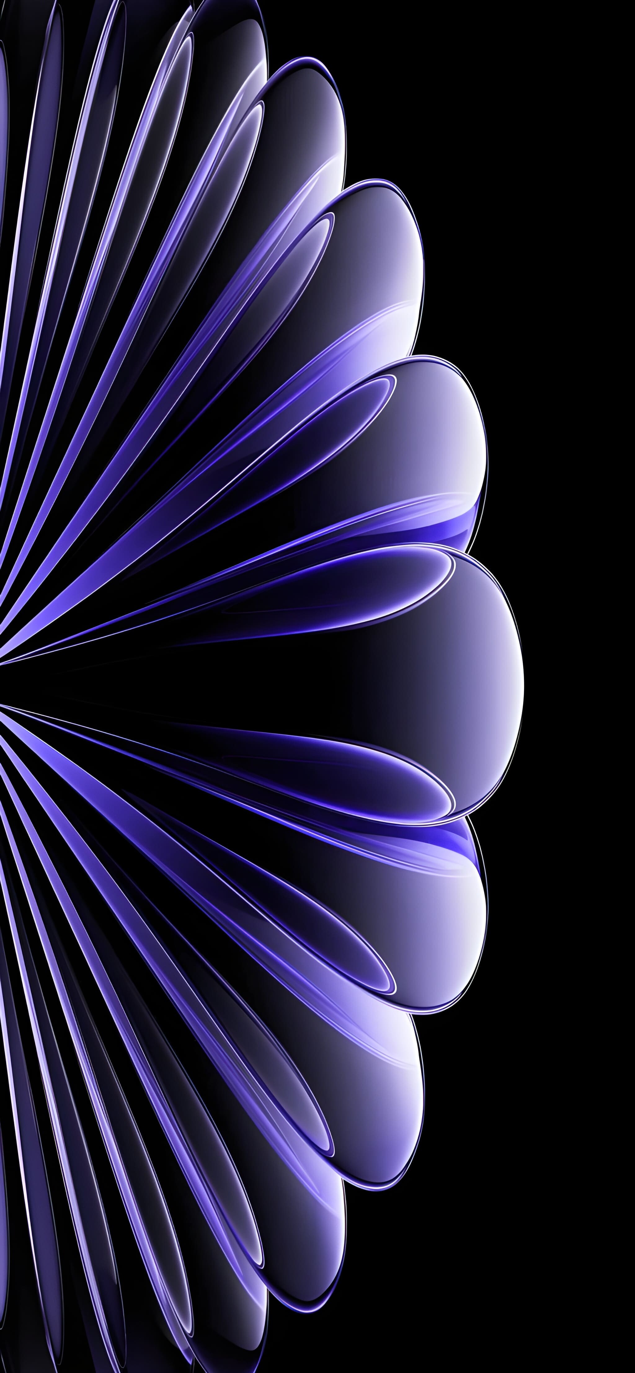 2050x4430 Phone Wallpaper