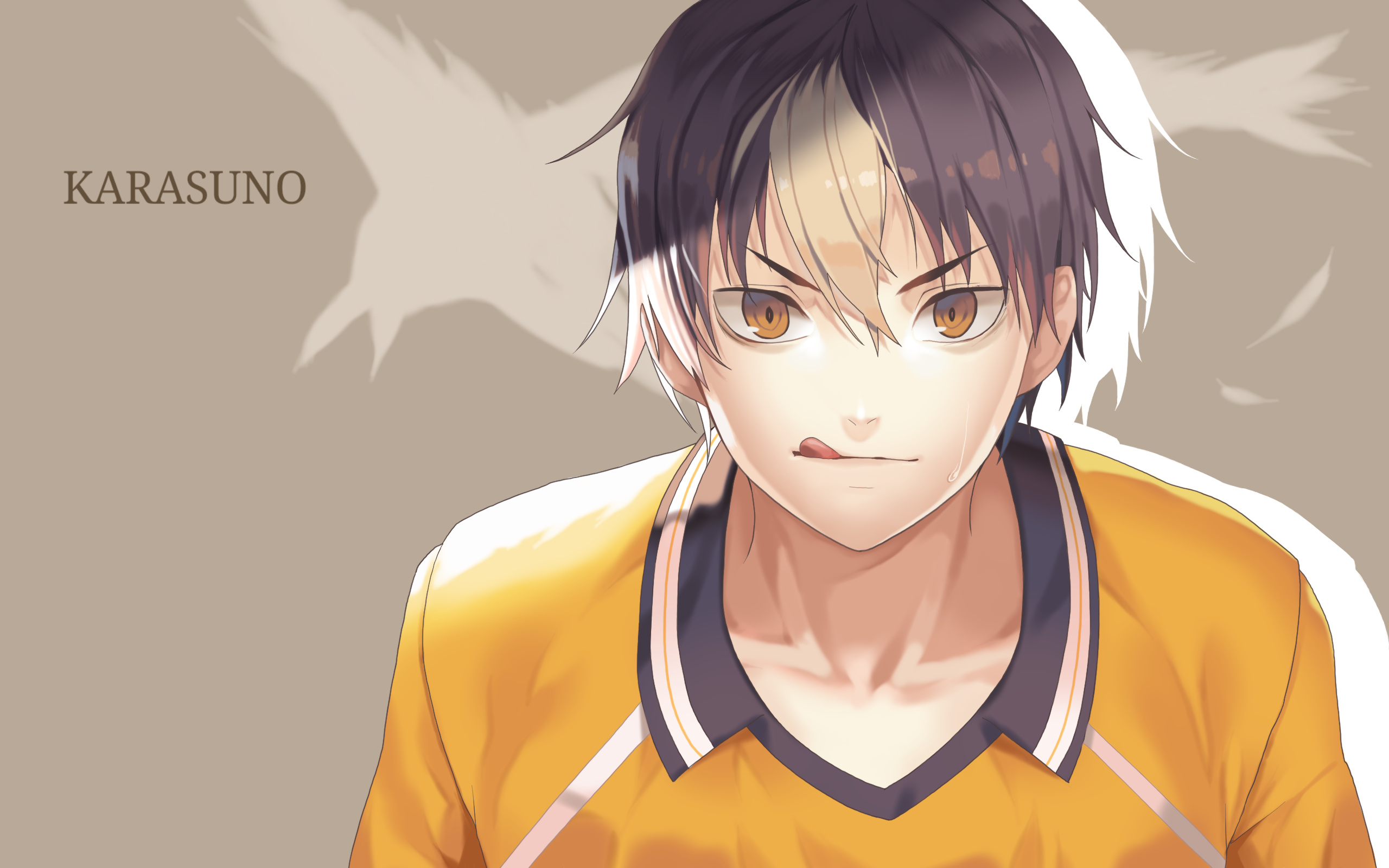 Anime volleyball team, Illustration artwork, Haikyuu characters, Digital art, 2560x1600 HD Desktop