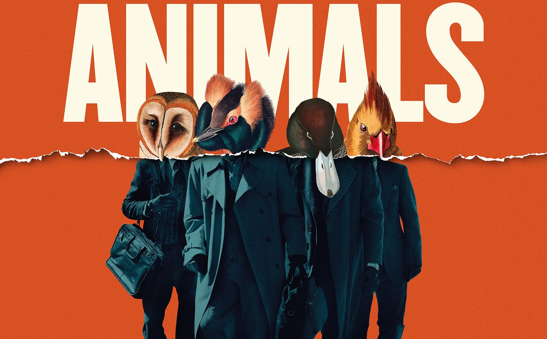 American Animals, Roma 2018, Film recensione, Bart Layton, 1920x1200 HD Desktop