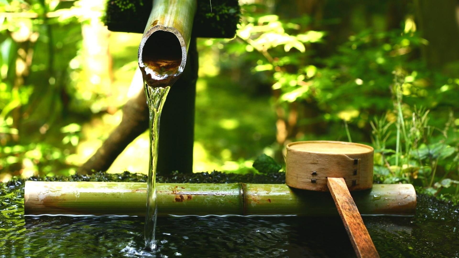 Bamboo nature, Brown bamboo water, Fountain plants, Nature HD, 1920x1080 Full HD Desktop