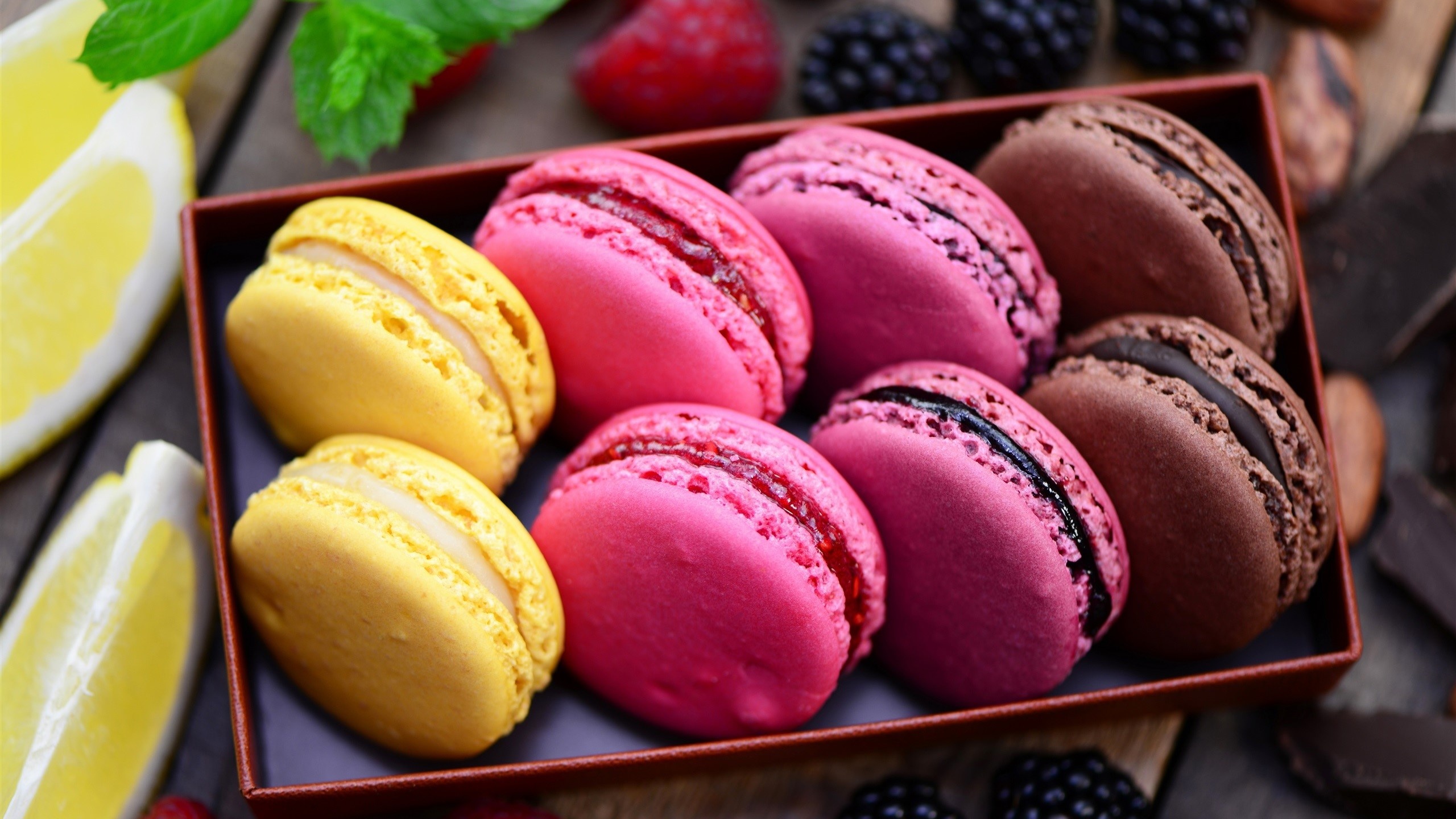 Box, Macarons Wallpaper, 2560x1440 HD Desktop
