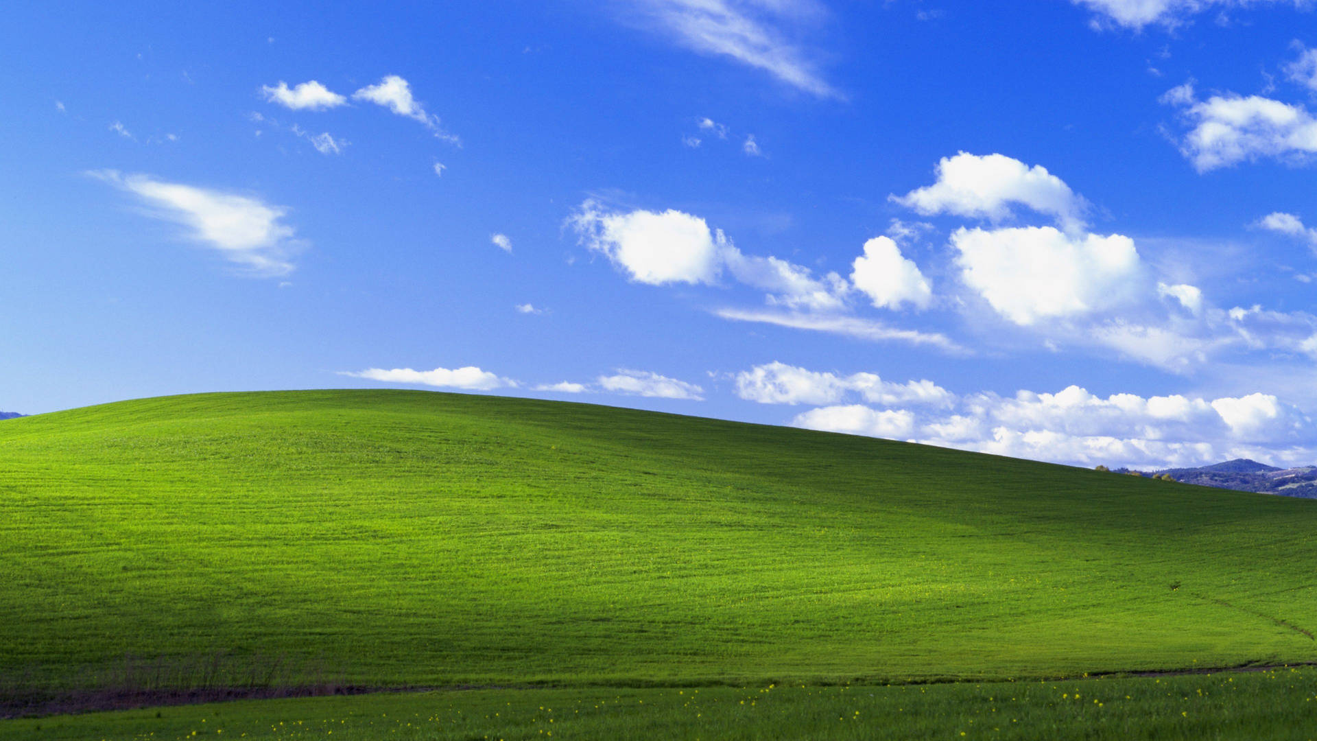 Windows XP Bliss hill, rolling green grass hill, blue sky cumulus clouds, Full HD Desktop wallpaper
