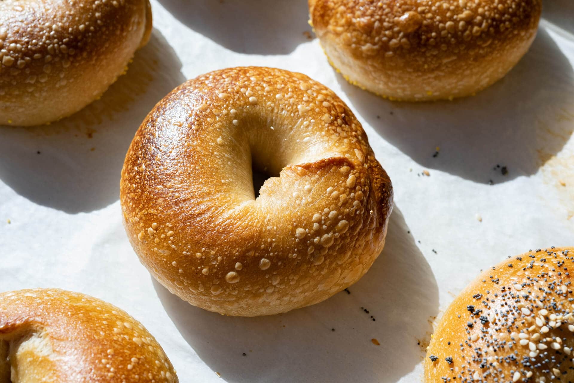 Sourdough bagel, Artisanal creation, Perfectly textured, Rustic goodness, 1920x1280 HD Desktop