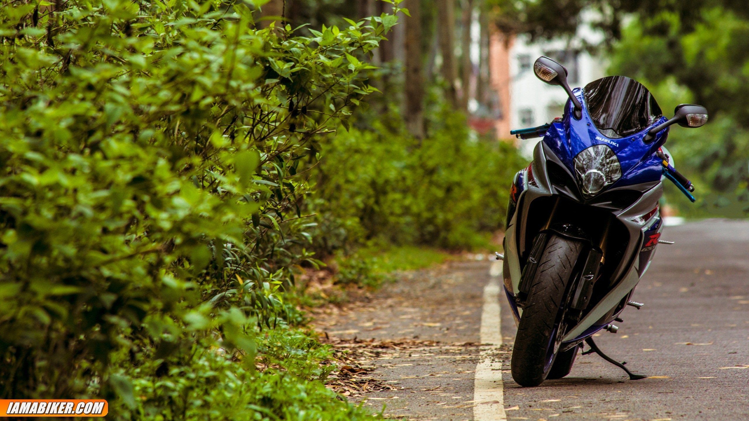 Suzuki GSX-R1000, Sports bike, HD wallpapers, Suzuki brand, 2560x1440 HD Desktop