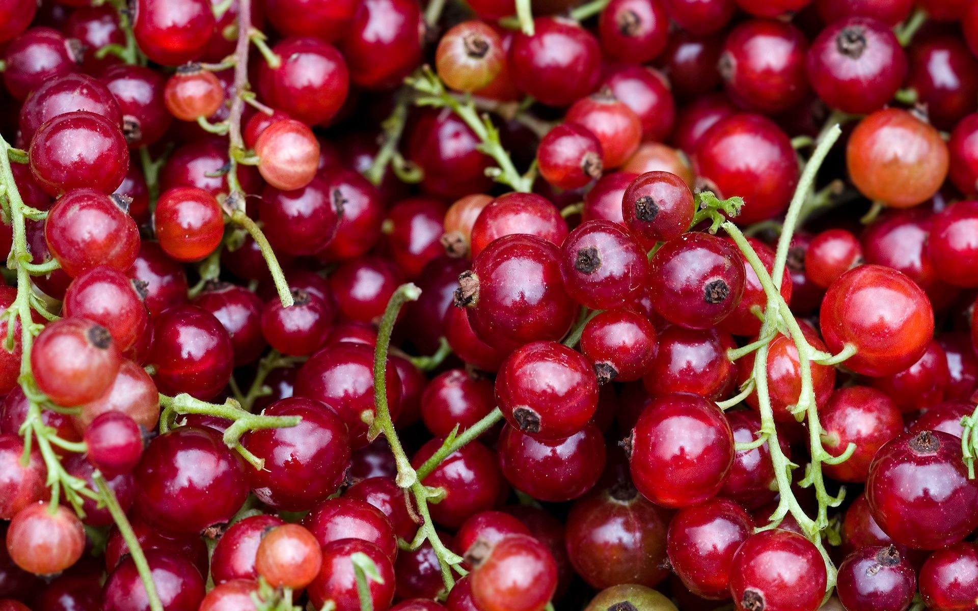 Currants, Fresh fruit, Delightful snack, Nutritious choice, 1920x1200 HD Desktop