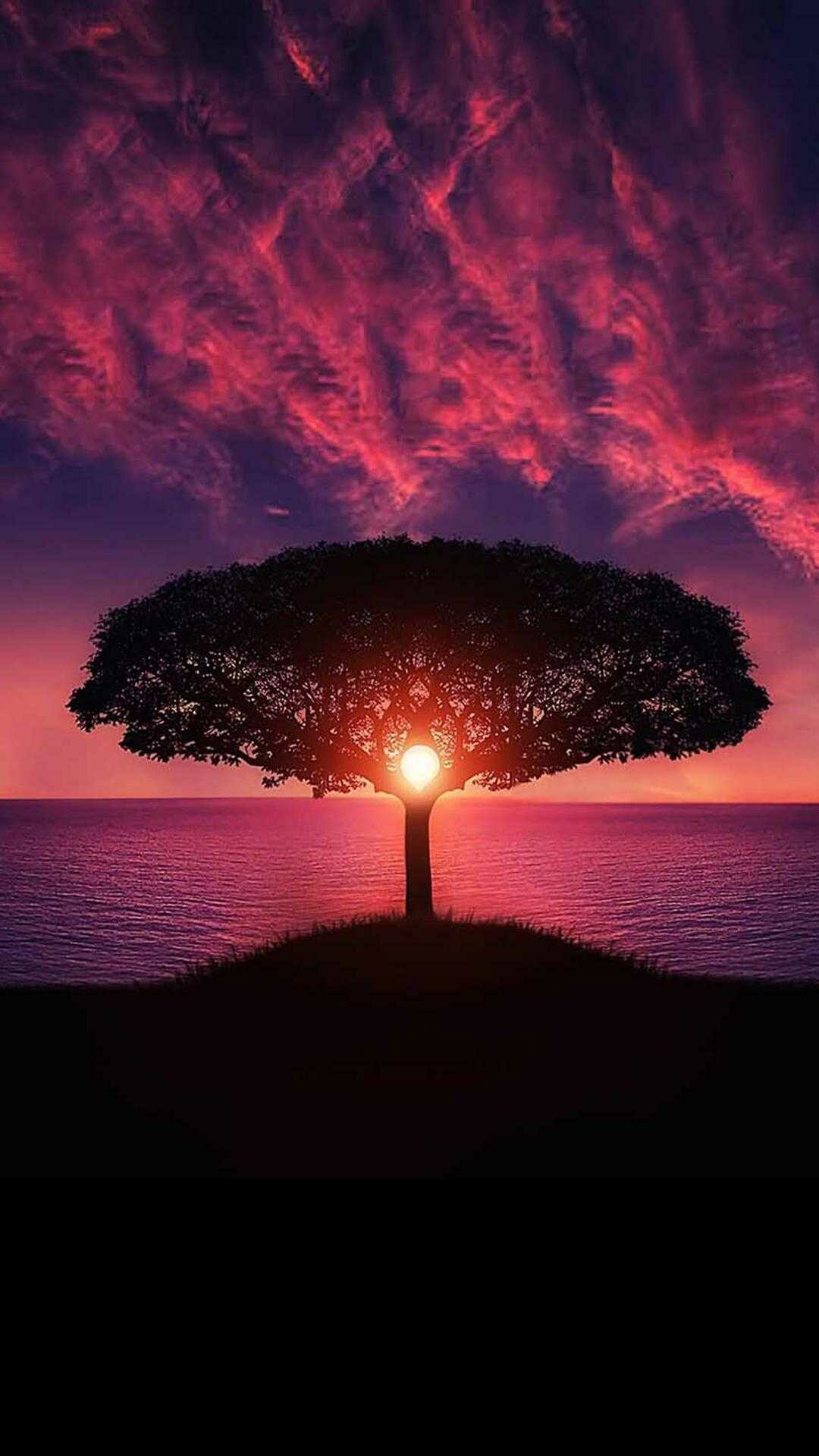 Ethereal sunset, Nature's beauty, Mesmerizing colors, Horizon, 1080x1920 Full HD Phone