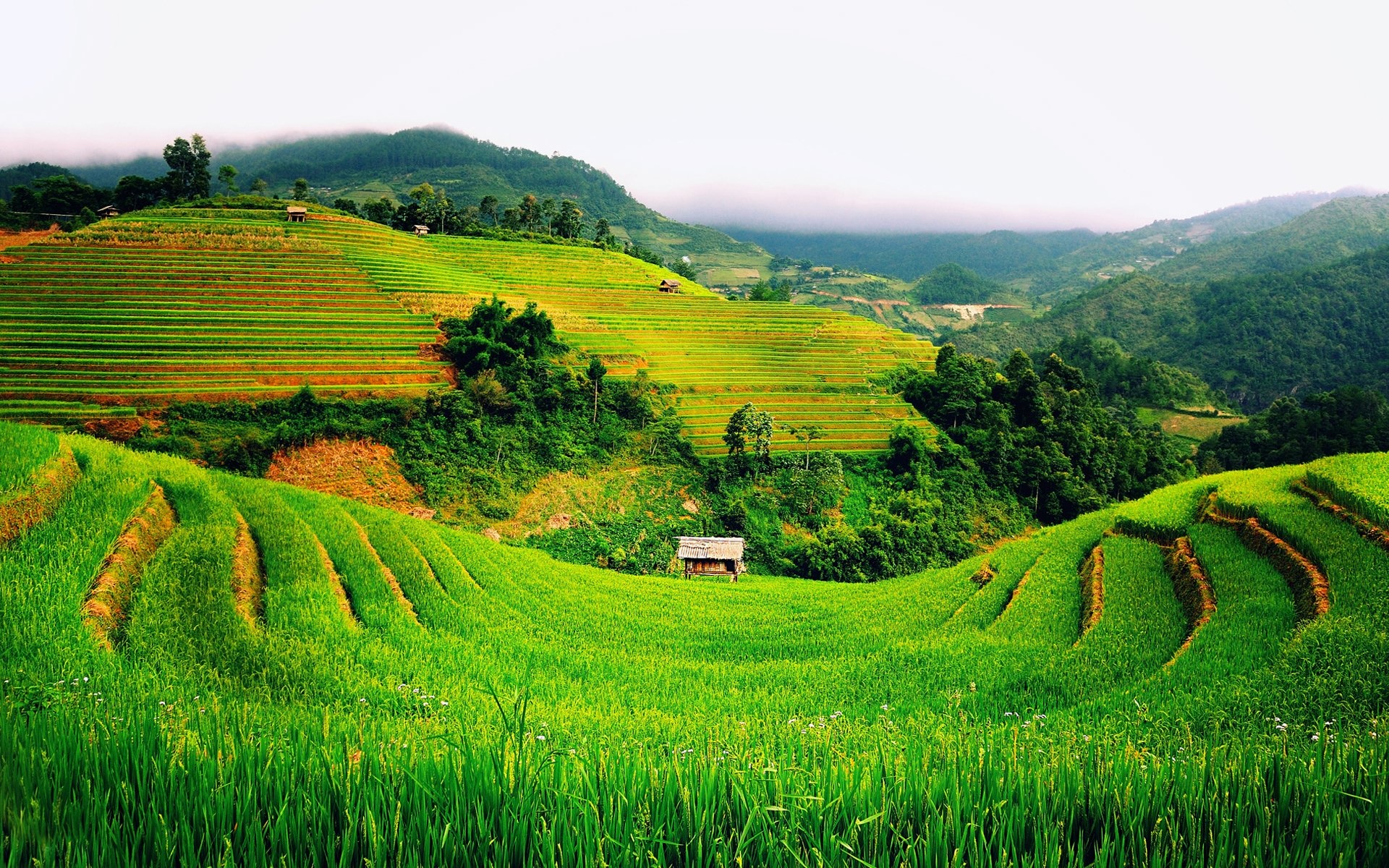 Vietnam, HD wallpaper, Breathtaking background, Tranquil ambiance, 1920x1200 HD Desktop