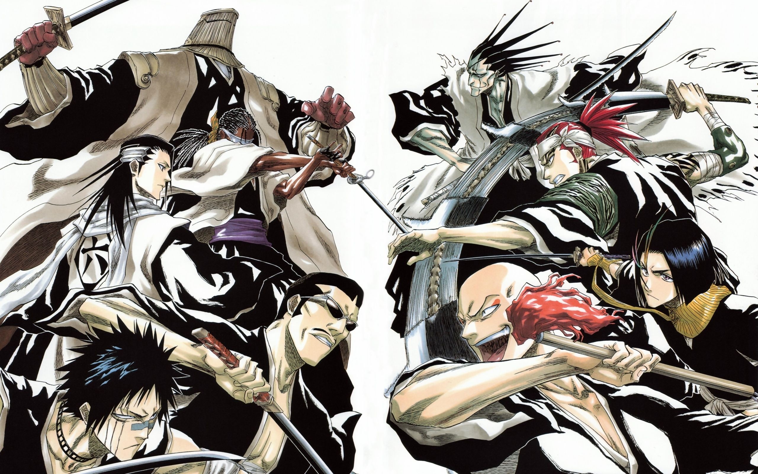 Kenpachi, Bleach captains wallpapers, 2560x1600 HD Desktop