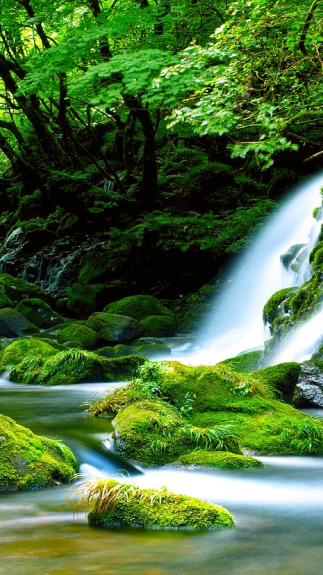 Green mossy waterfall, Forest enchantment, Nature's art, HD wonder, 1080x1920 Full HD Phone