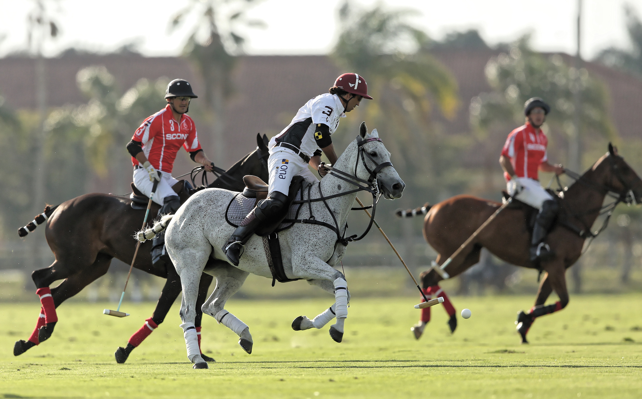 Fast-paced polo action, World Polo League, Scone victory, Grand Champions Polo Club, 2100x1310 HD Desktop