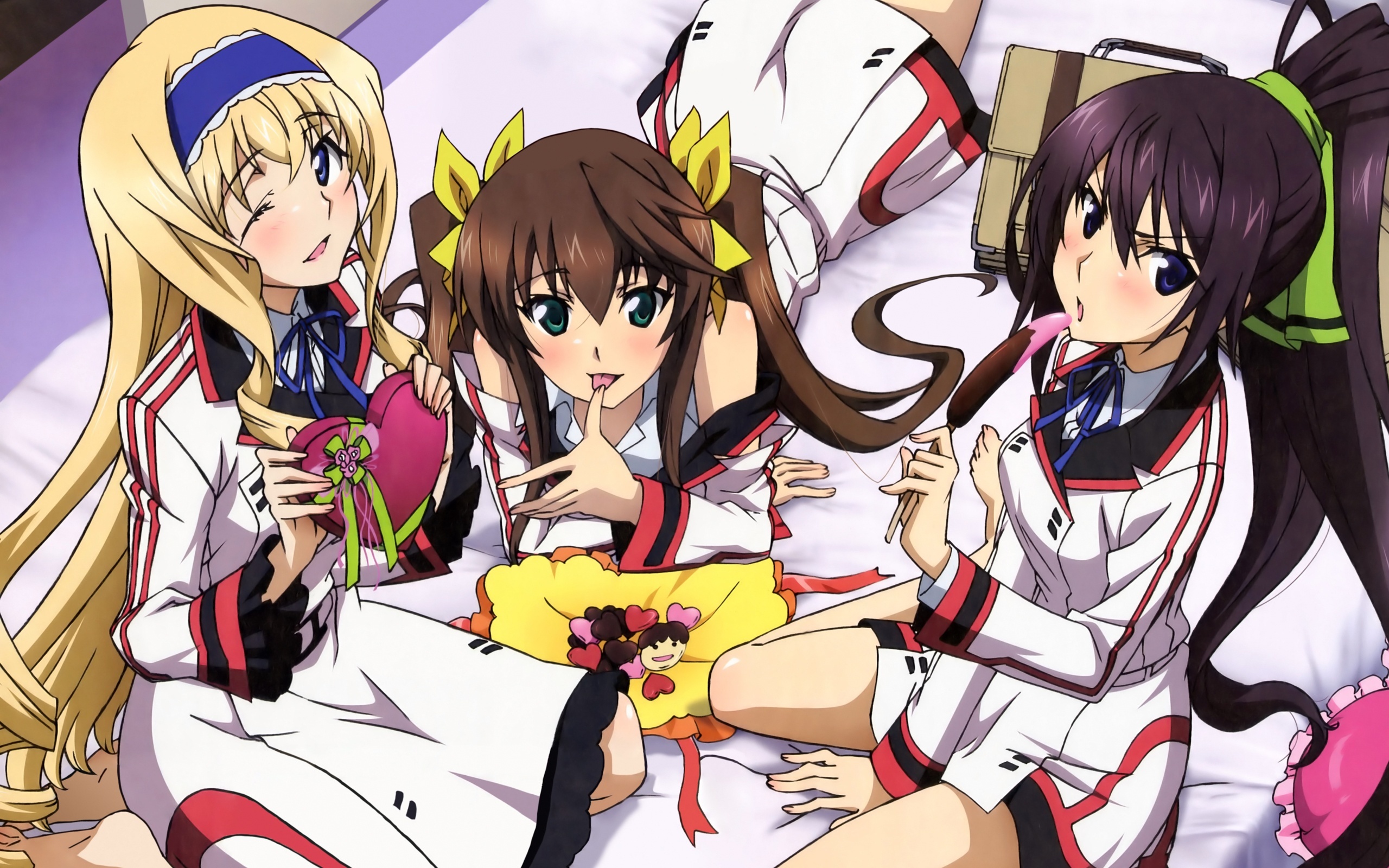 IS Infinite Stratos, Anime photos, 2560x1600 HD Desktop