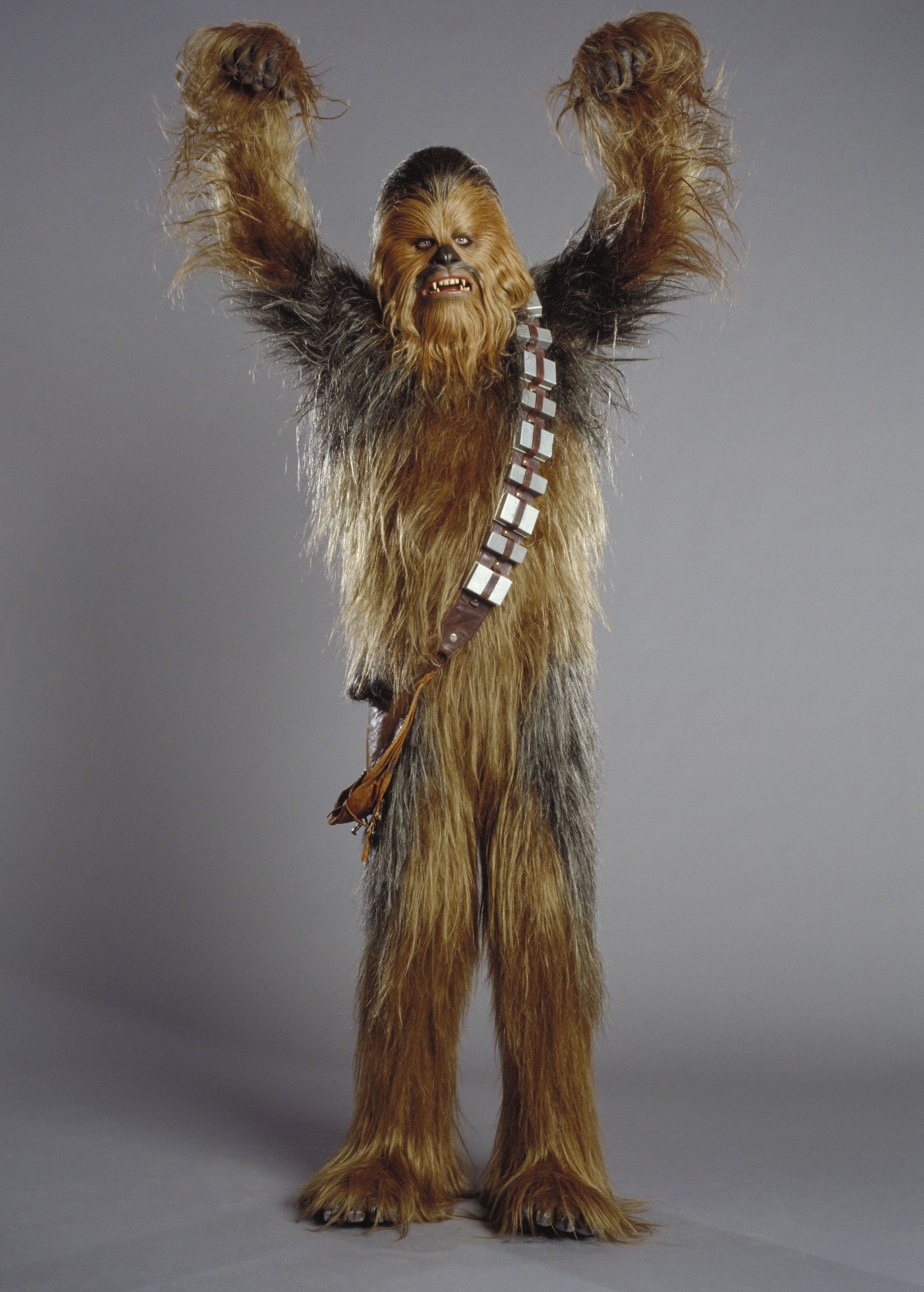 Chewbacca movies, Star Wars Chewbacca Wookiee, 2150x3000 HD Phone