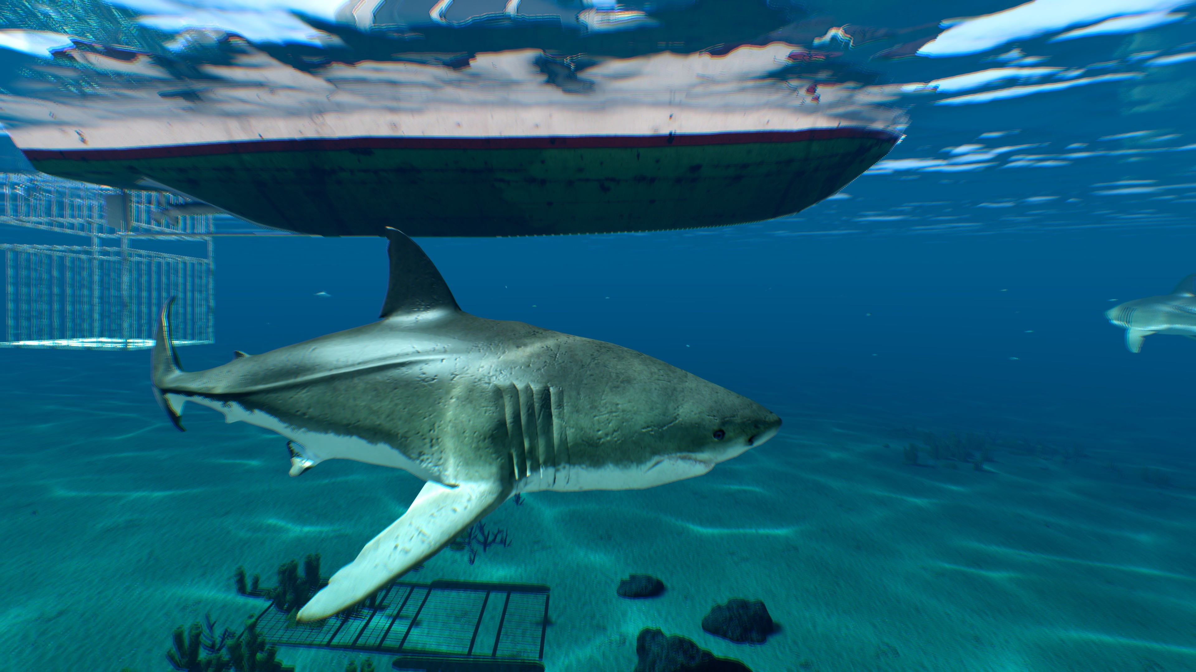 Arma 3 addon, Great White Sharks Wallpaper, 3840x2160 4K Desktop