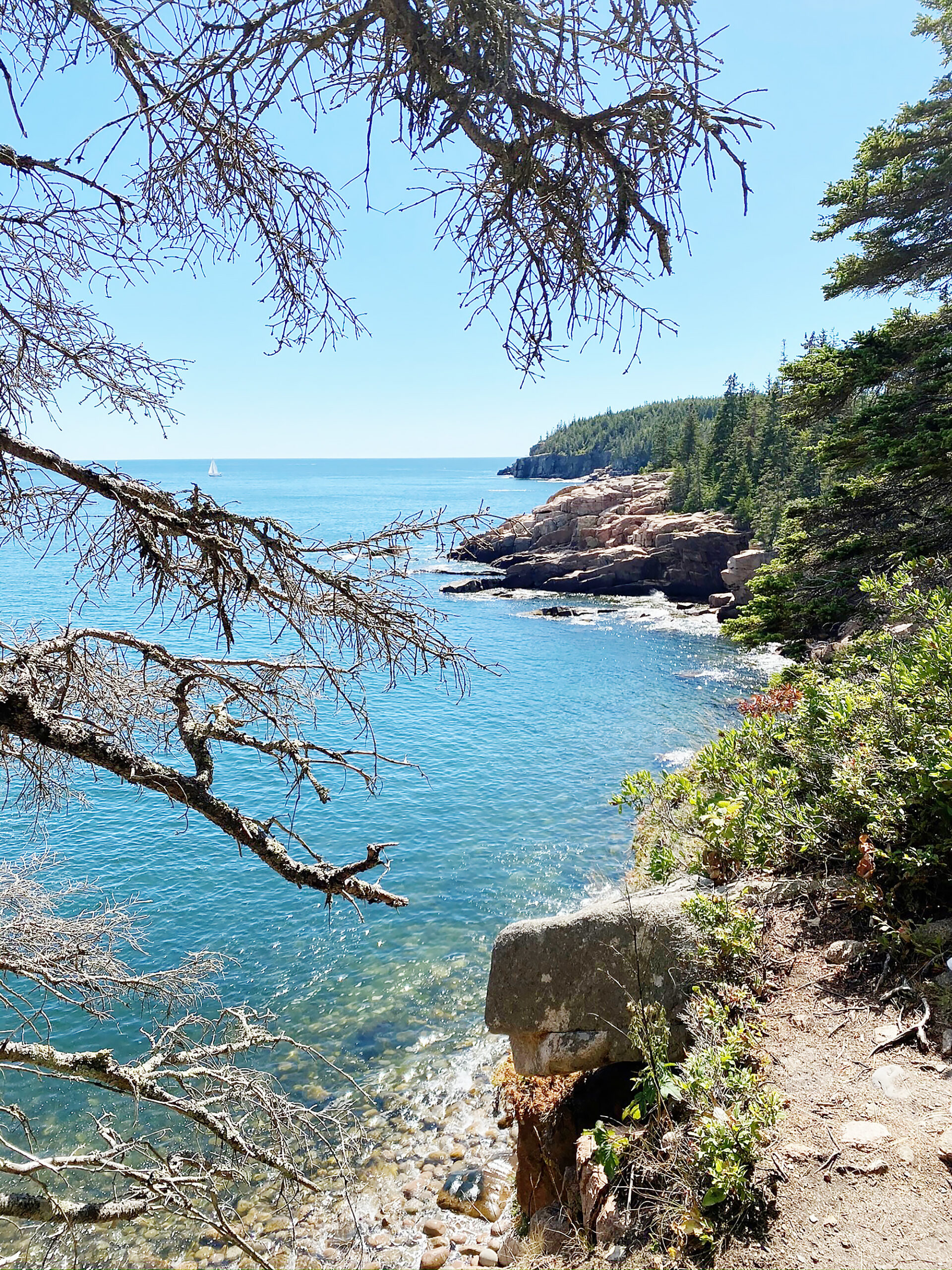 Acadia National Park, Hiking adventures, Darling Darleen's guide, Outdoor exploration, 1920x2560 HD Phone