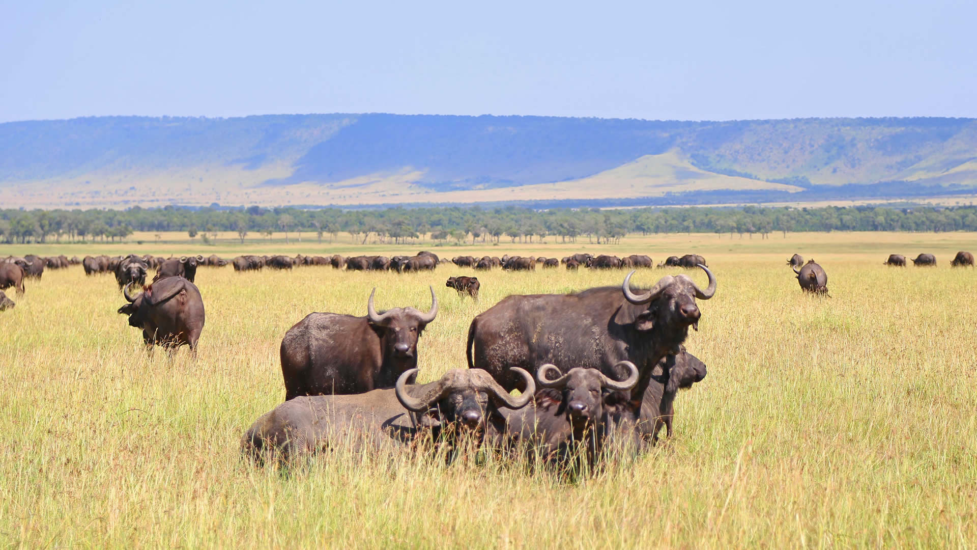 Ngorongoro Crater, Ngorongoro Conservation Area, Wallpapers, 1920x1080 Full HD Desktop