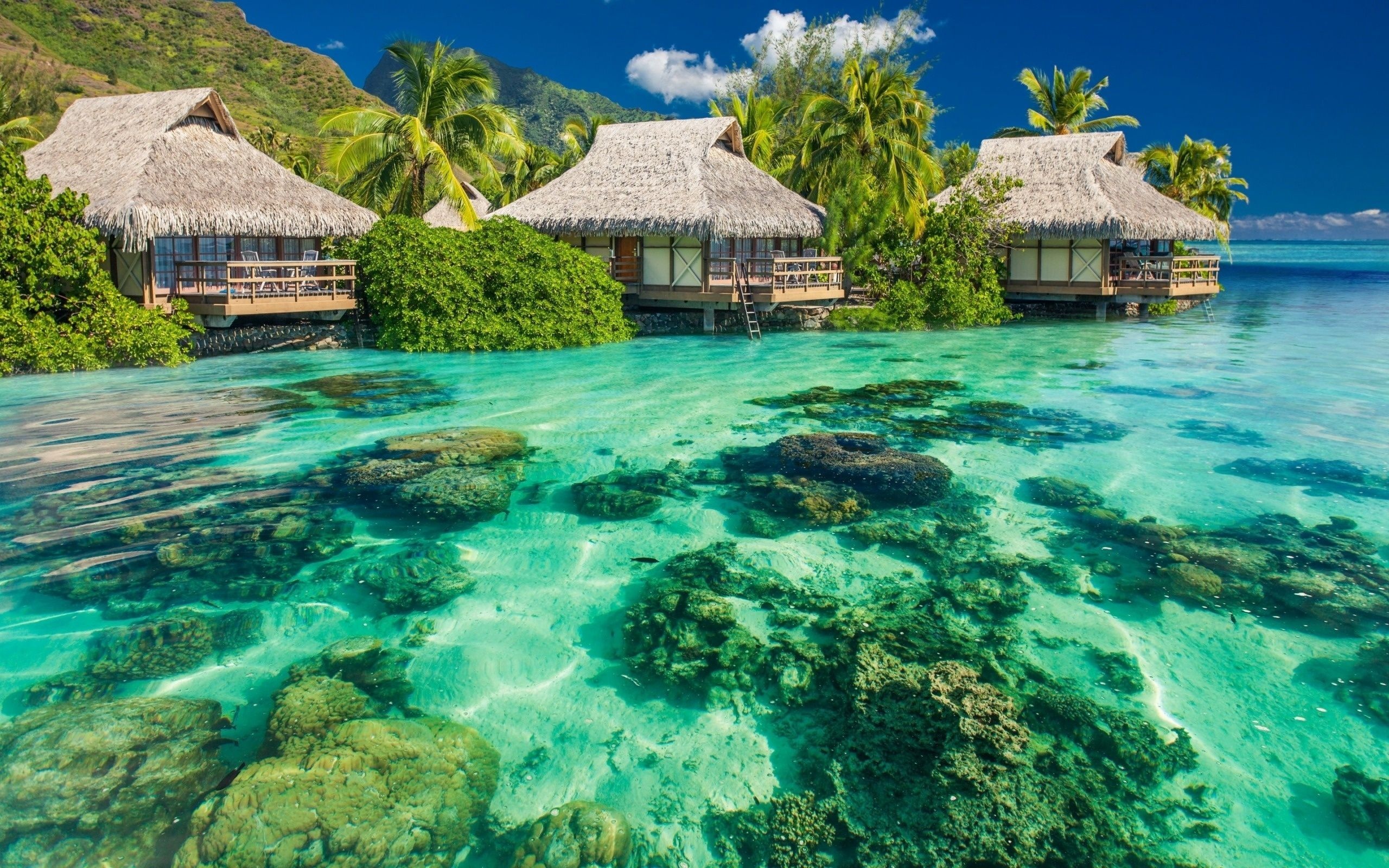 Lagoon, Crystal clear, Stunning landscapes, Picture-perfect, 2560x1600 HD Desktop