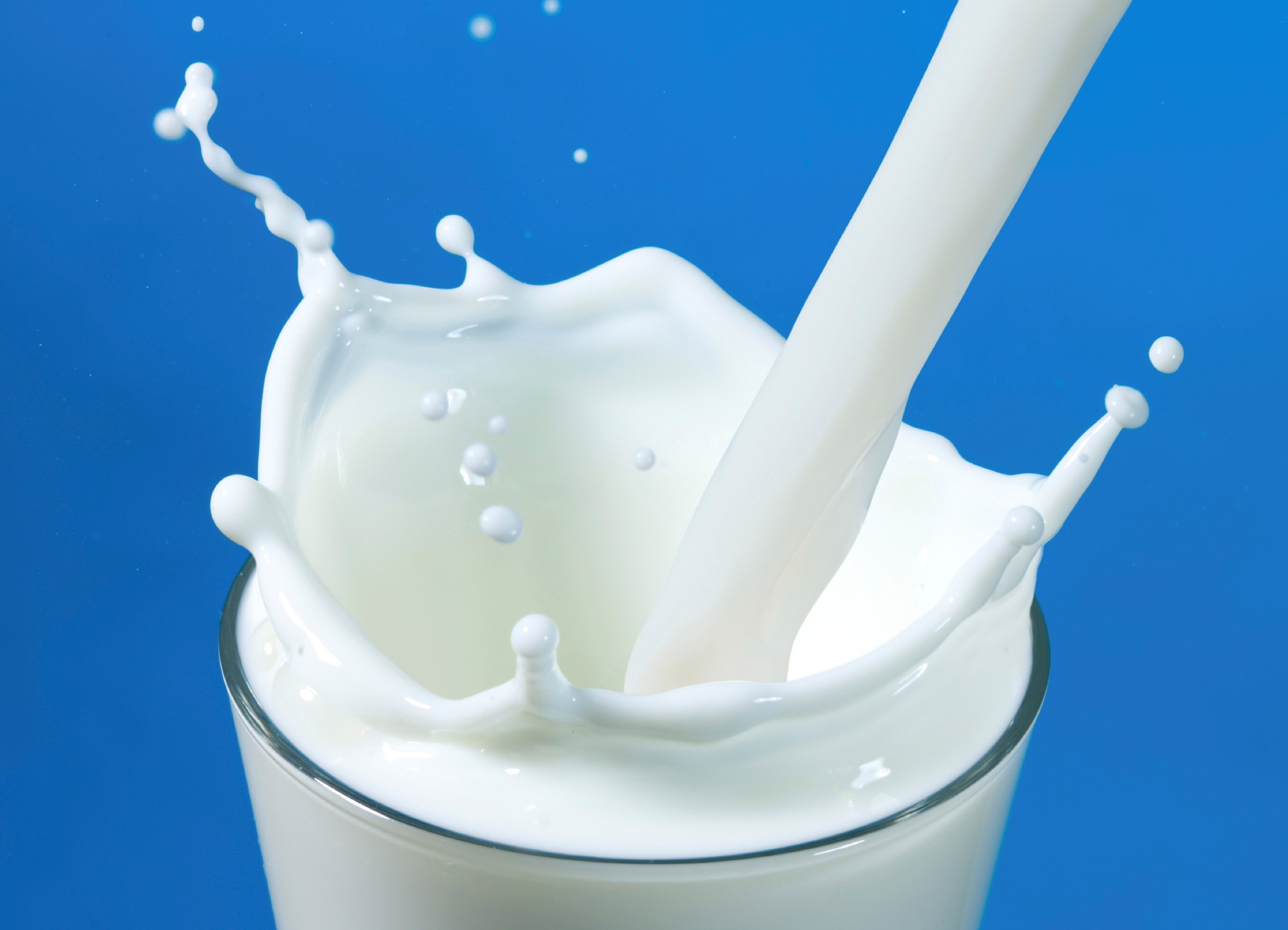 Milk celebration, Complete nutrition, World Milk Day, Essential dietary component, 2220x1600 HD Desktop