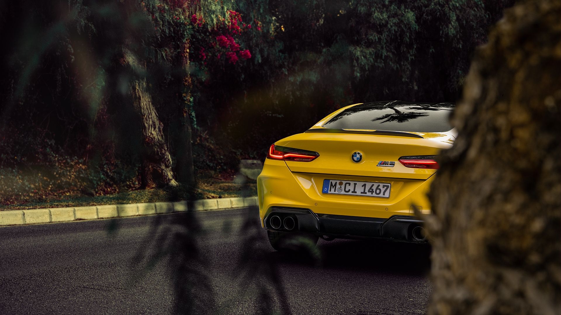 BMW M8, Competition Coupe, Luxury Car, Performance, BMW M4, 1920x1080 Full HD Desktop